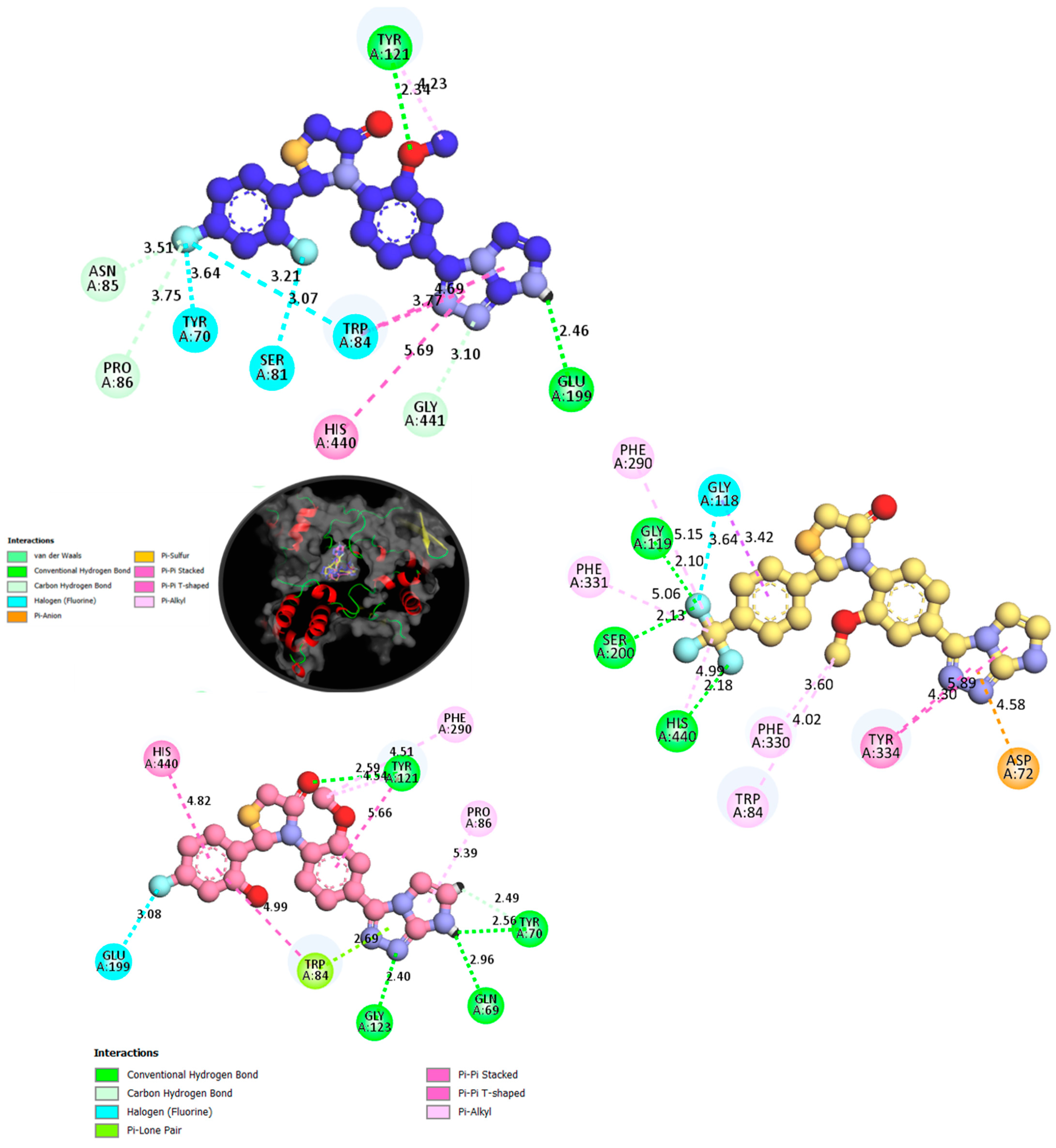 Pharmaceuticals 18 00415 g007