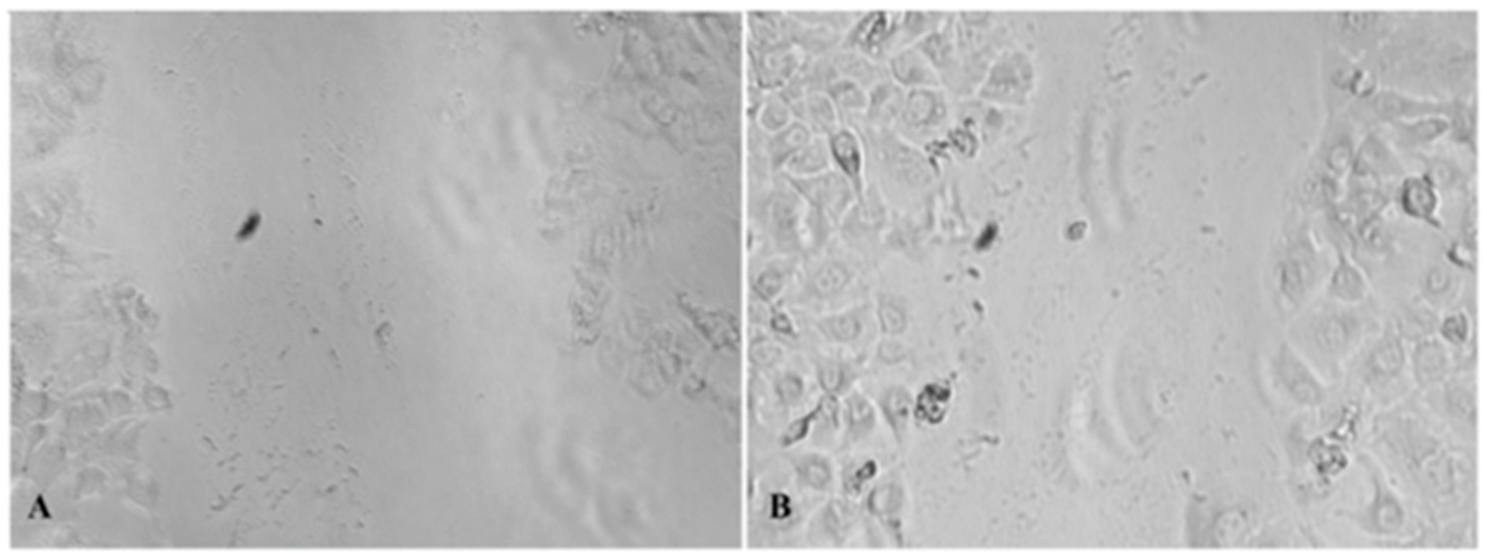 Pharmaceuticals 18 00416 g001