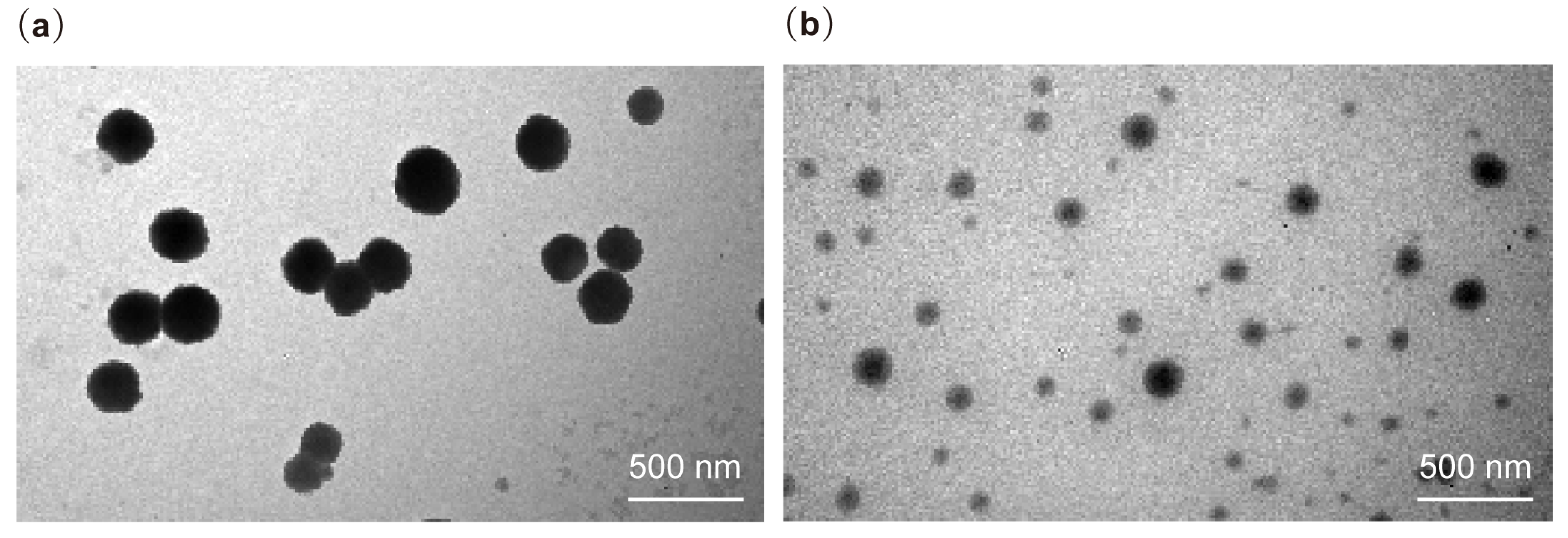 Pharmaceuticals 18 00417 g004