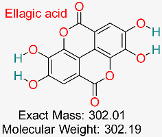 Pharmaceuticals 18 00419 i033