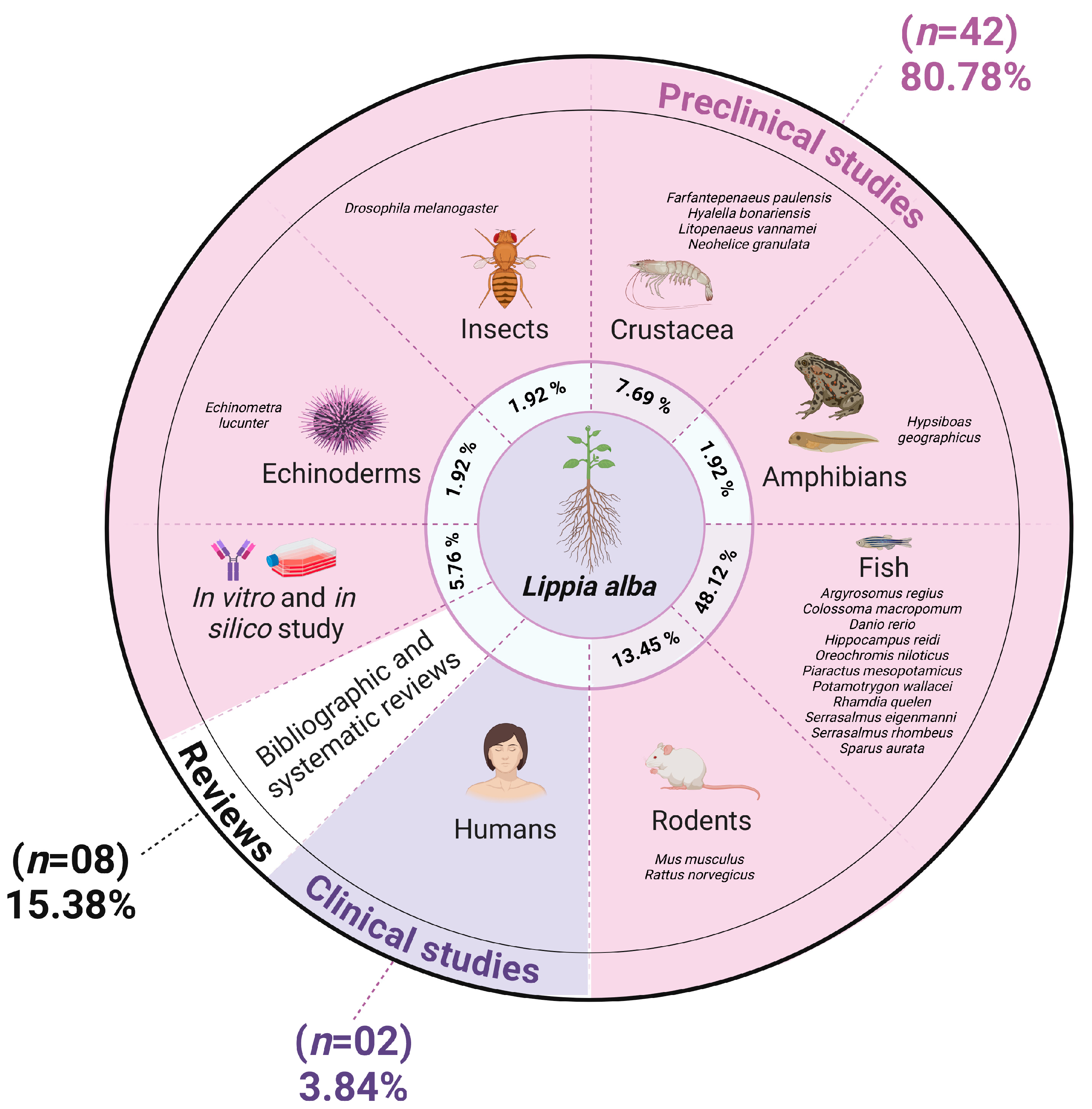 Pharmaceuticals 18 00420 g008