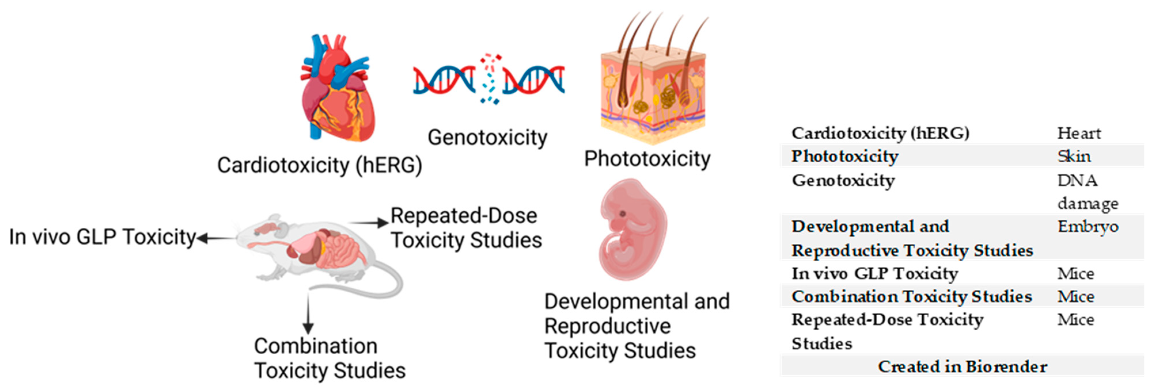 Pharmaceuticals 18 00424 g004