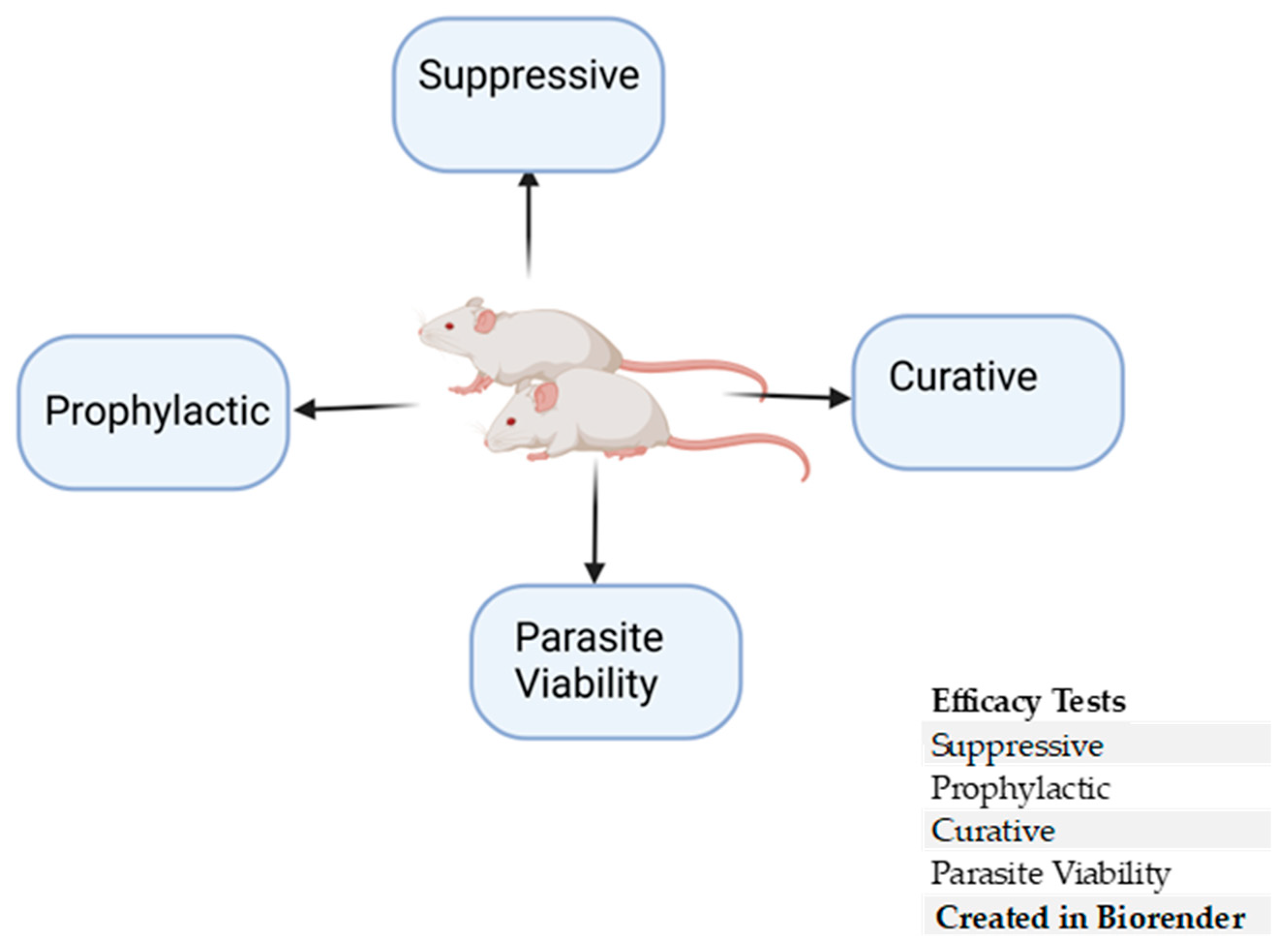 Pharmaceuticals 18 00424 g005