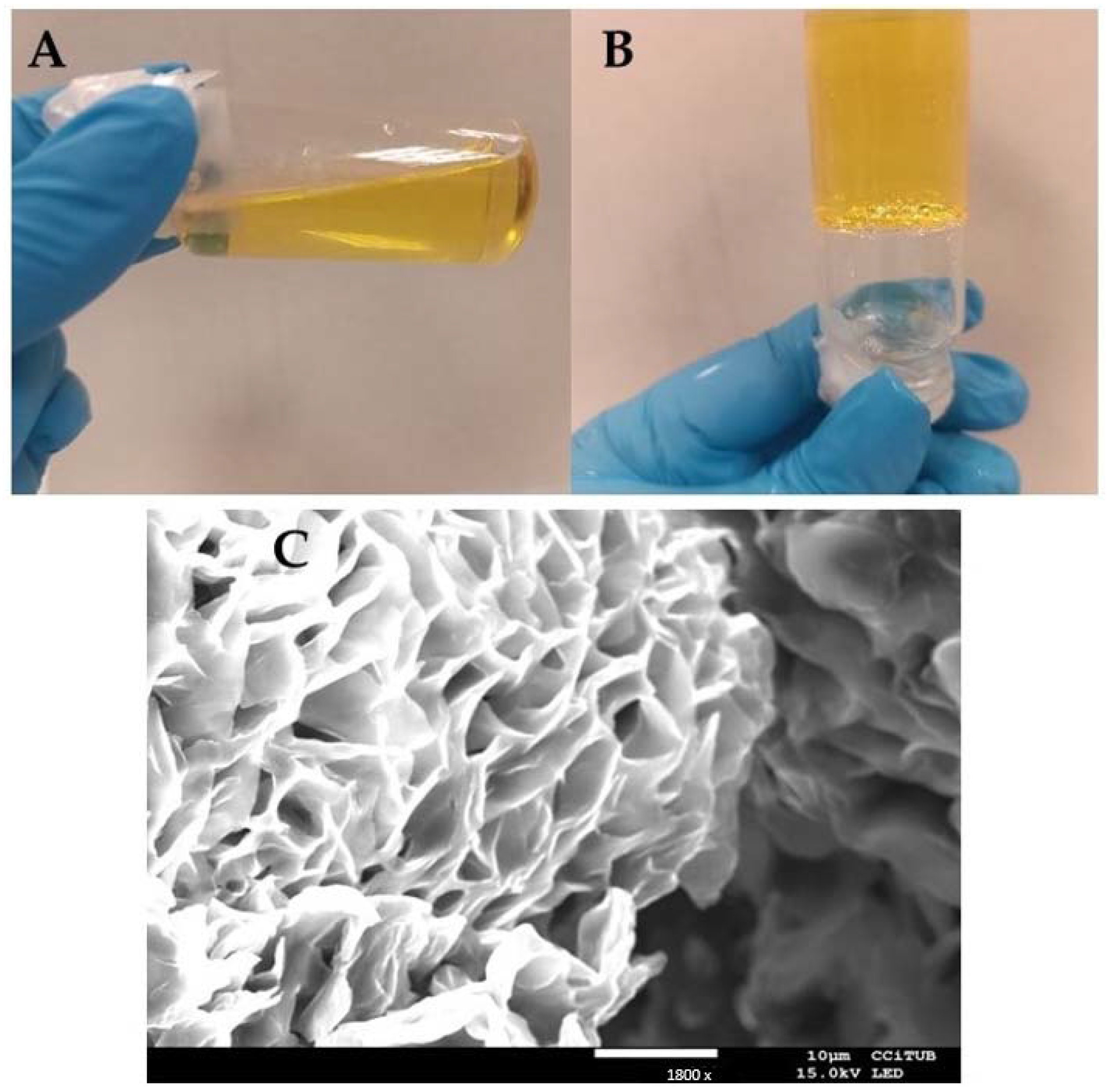 Pharmaceuticals 18 00427 g001