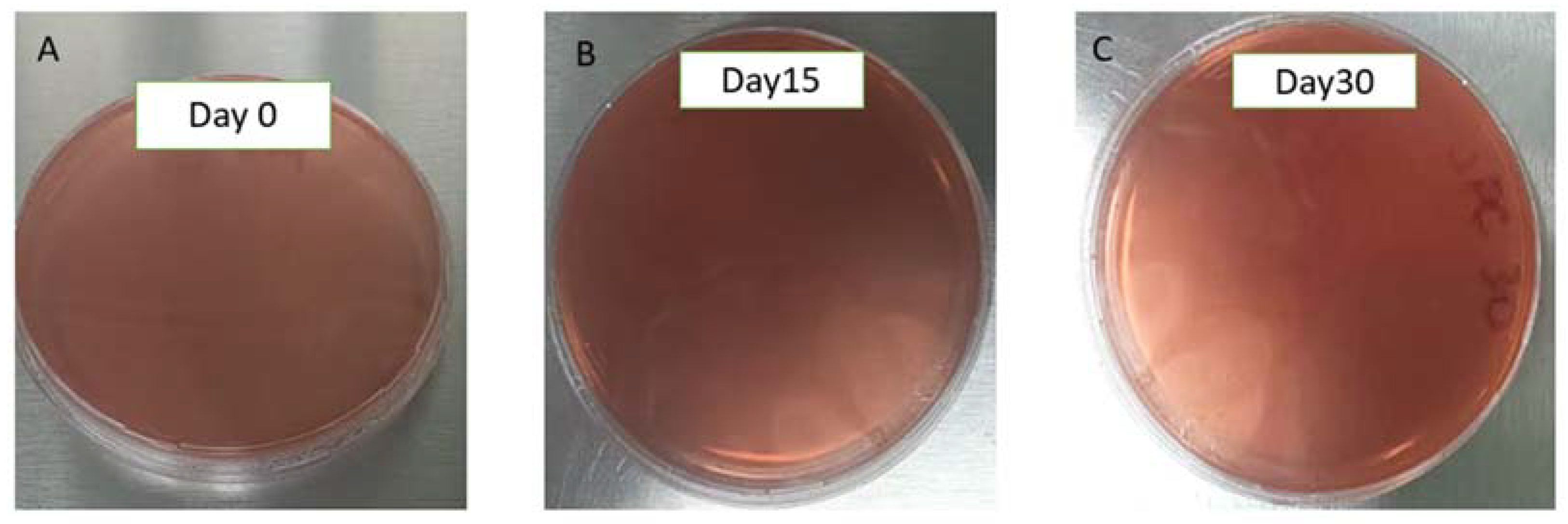 Pharmaceuticals 18 00427 g002