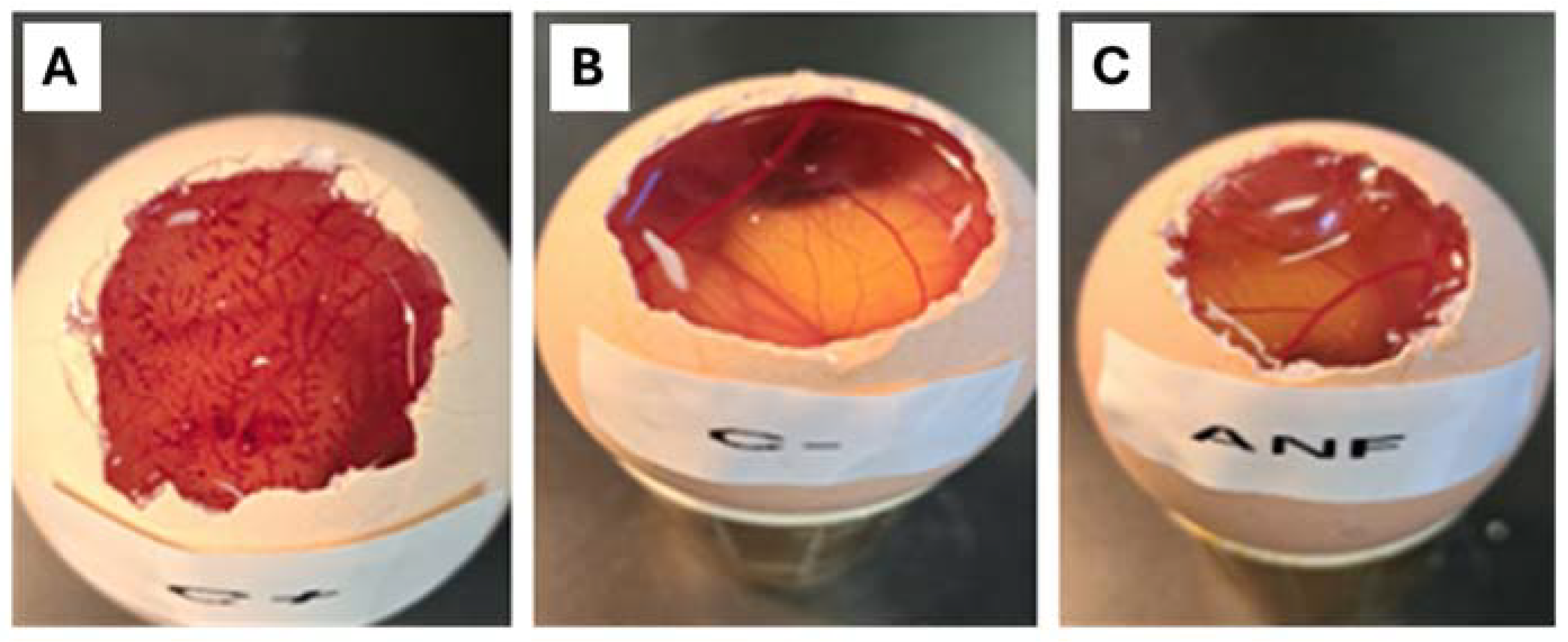 Pharmaceuticals 18 00427 g004
