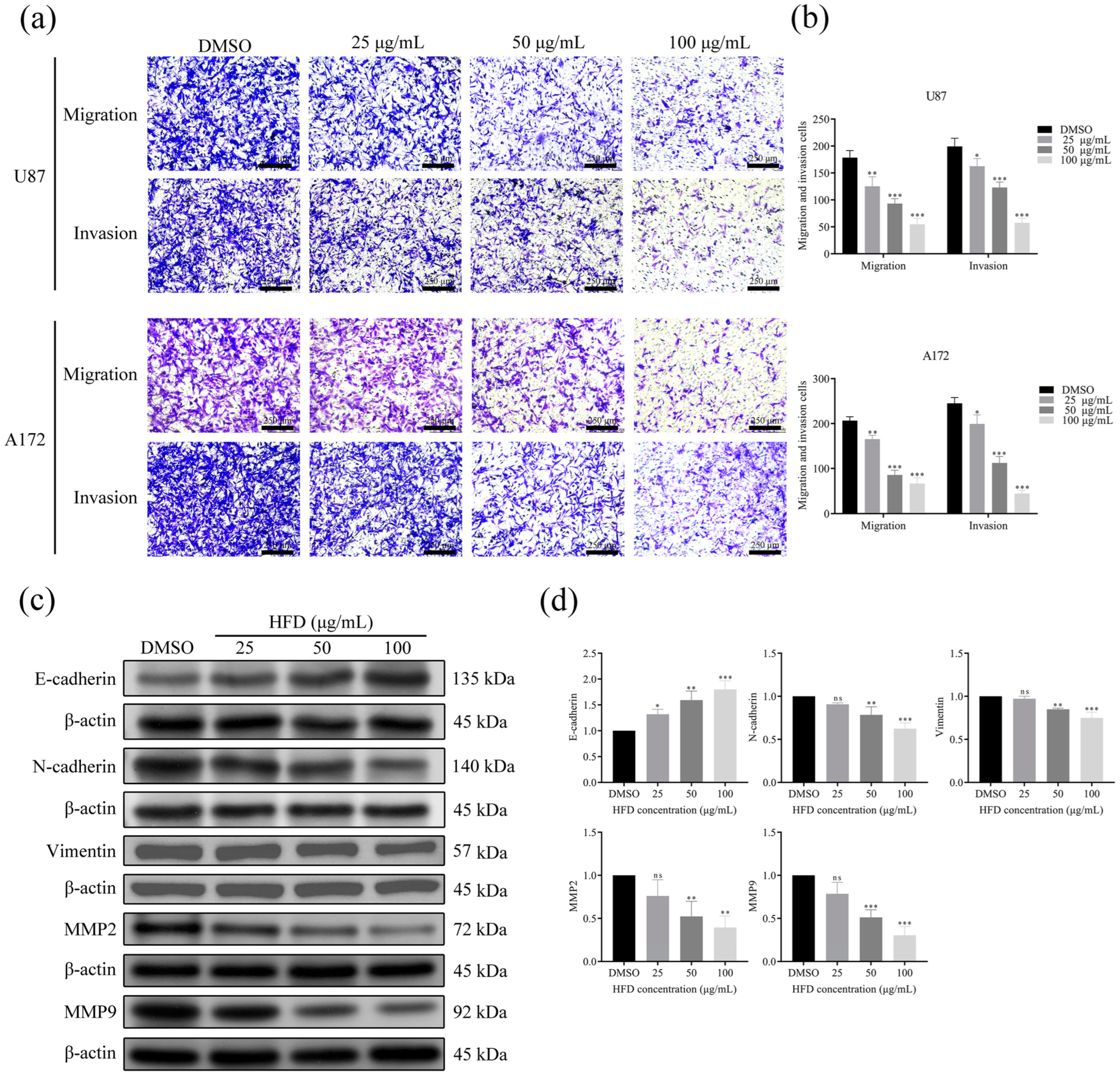 Pharmaceuticals 18 00428 g002