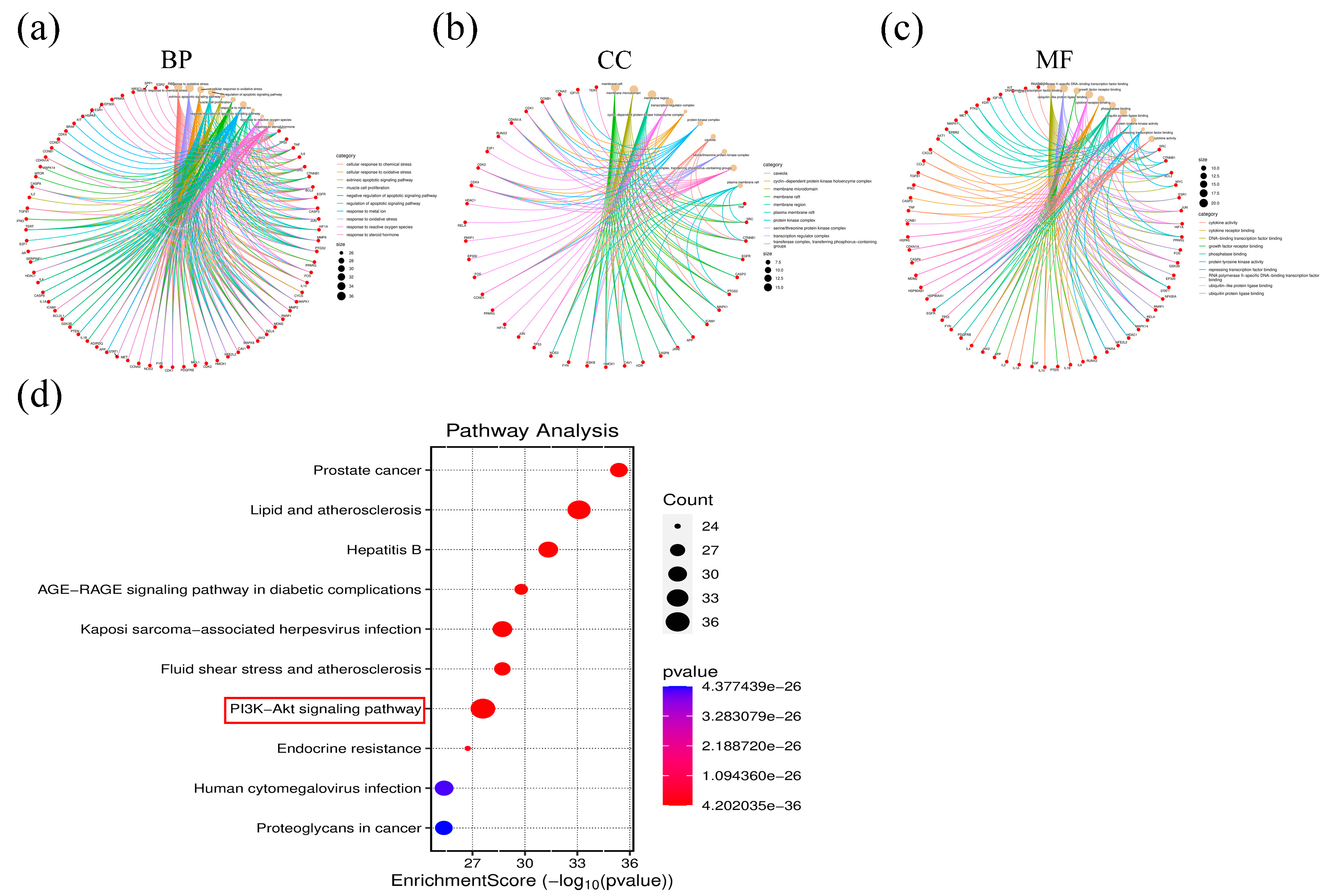 Pharmaceuticals 18 00428 g004