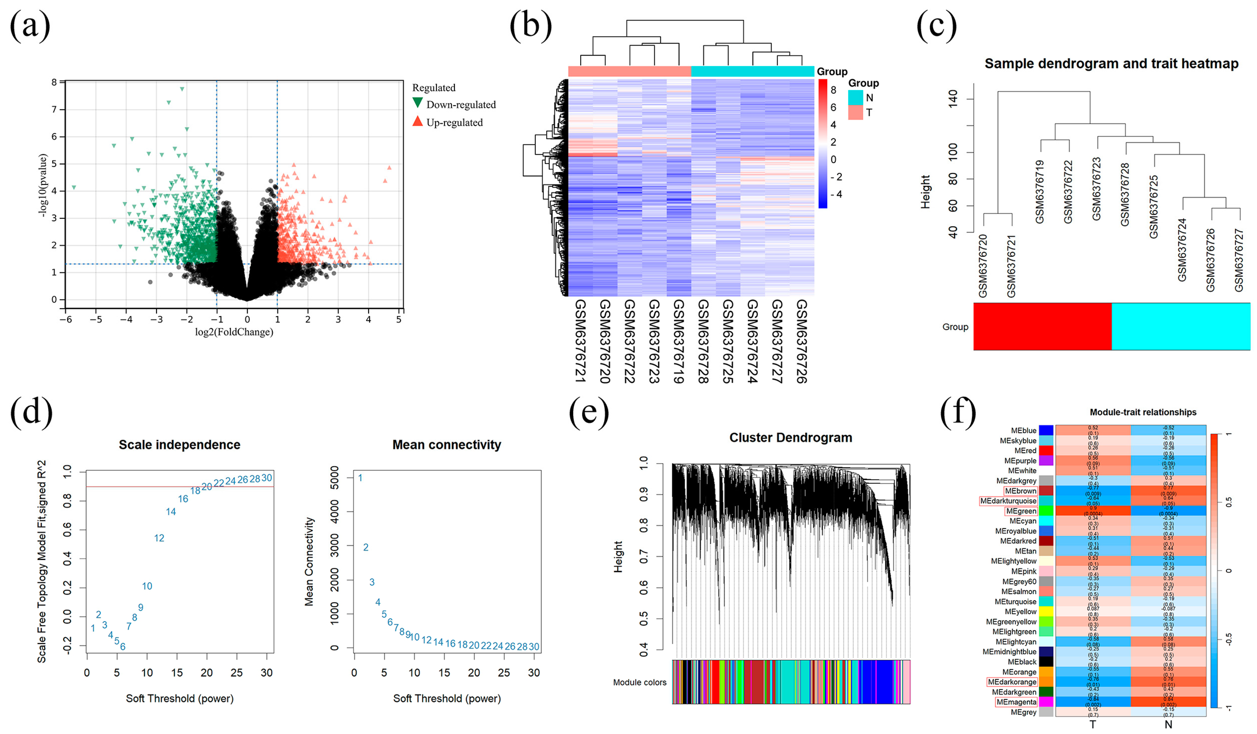 Pharmaceuticals 18 00428 g005