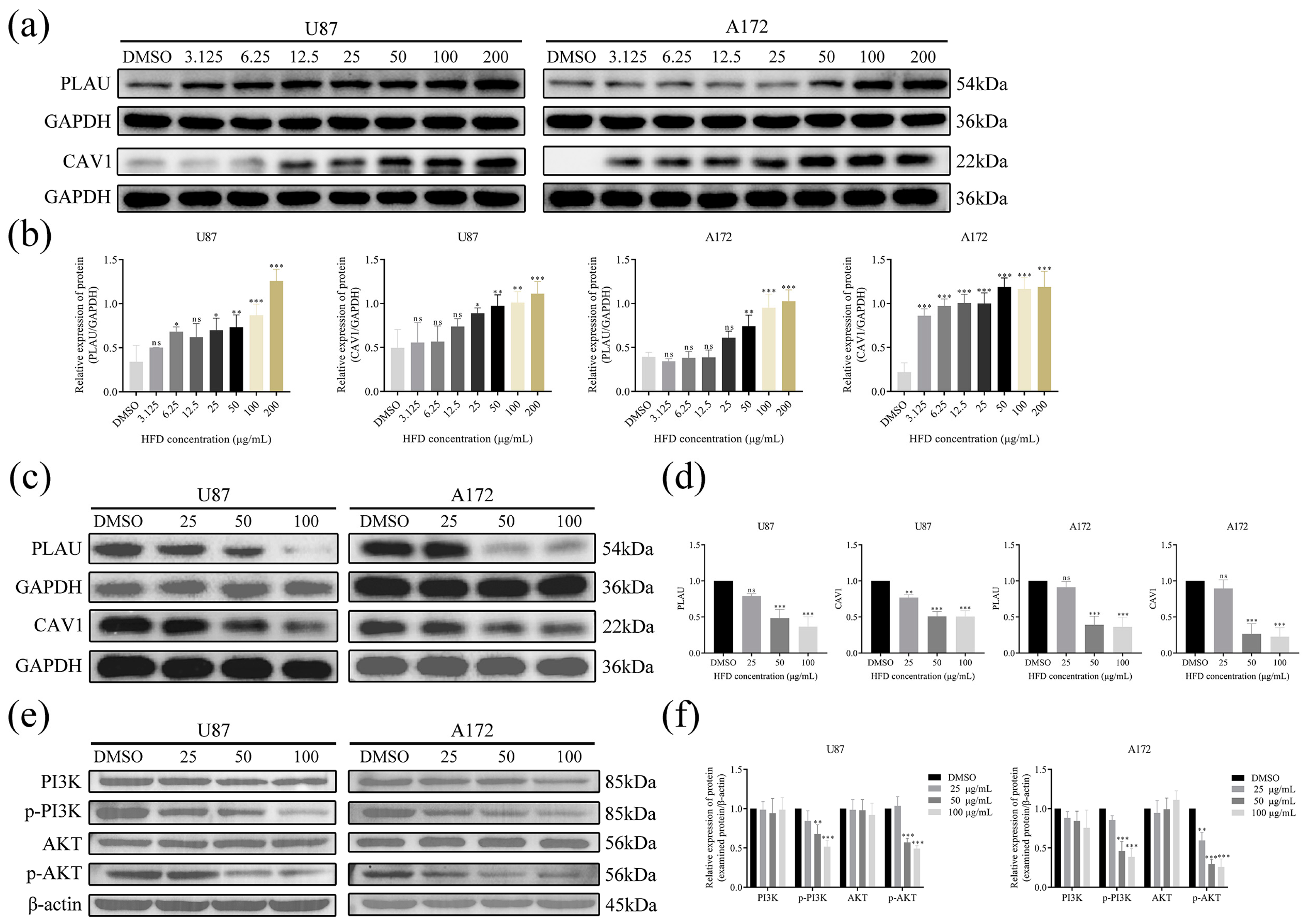 Pharmaceuticals 18 00428 g008