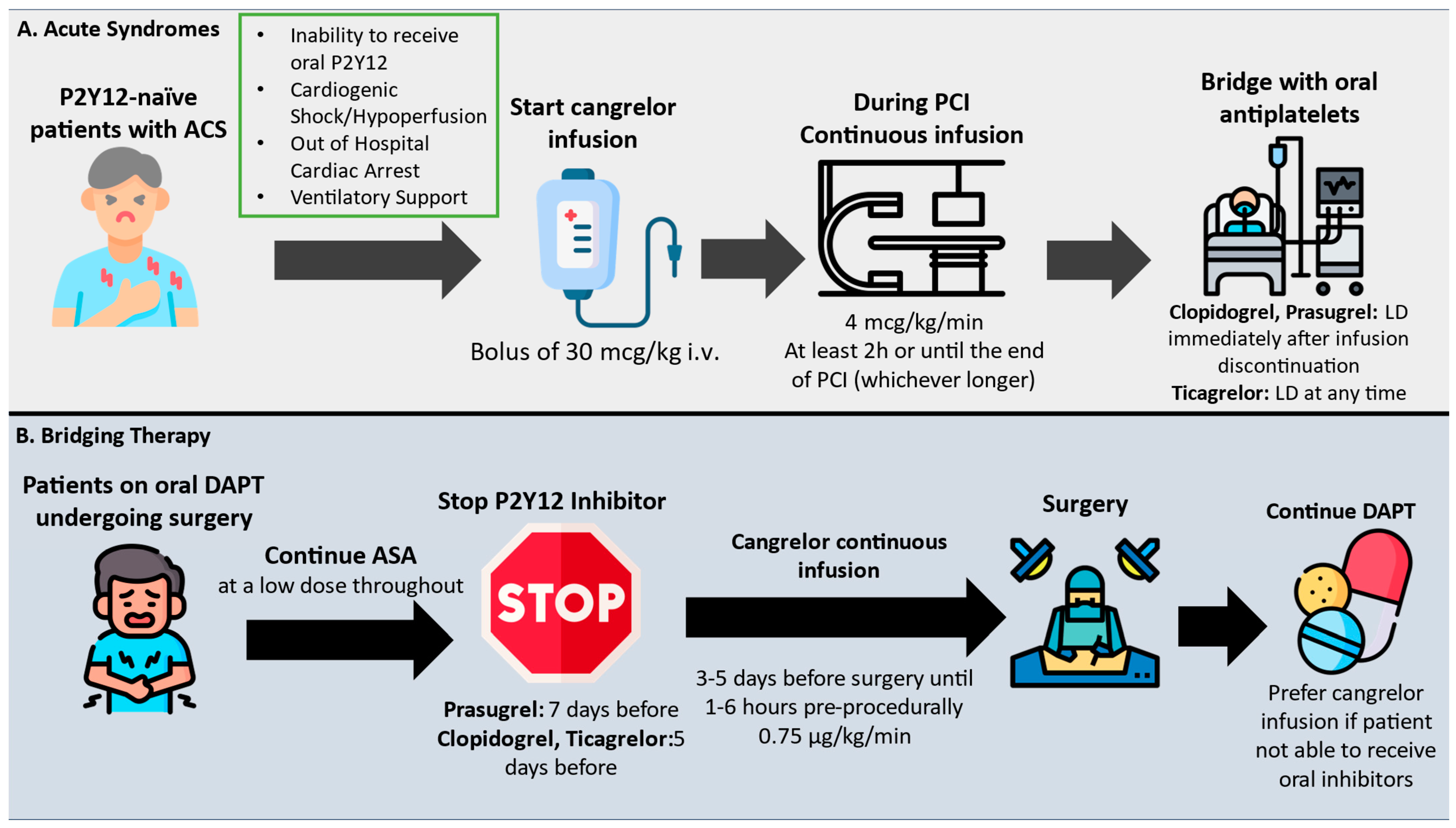 Pharmaceuticals 18 00432 g001