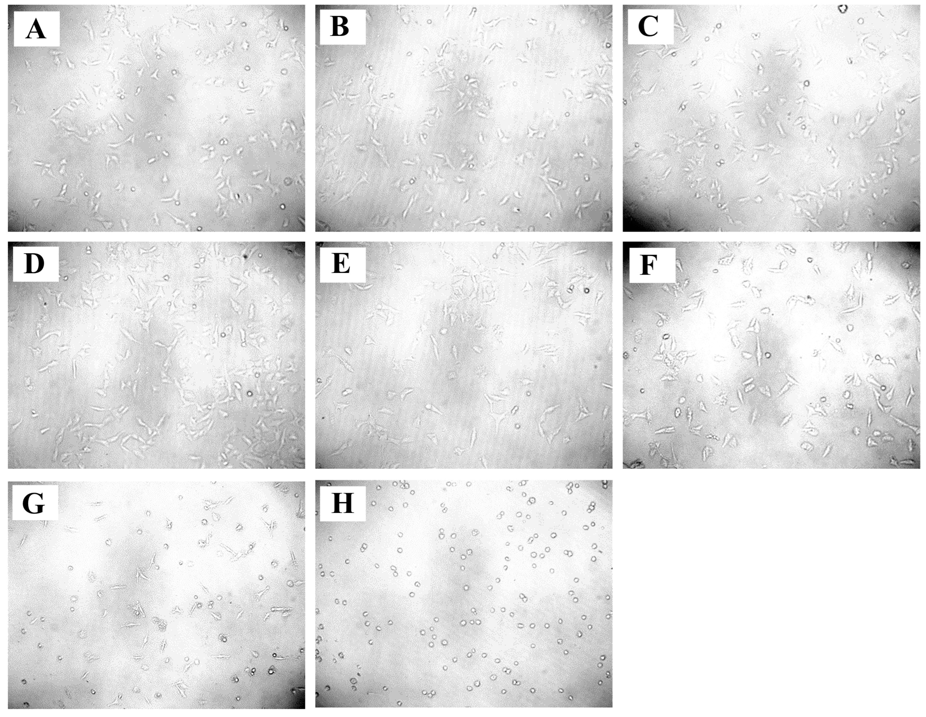 Pharmaceuticals 18 00433 g011
