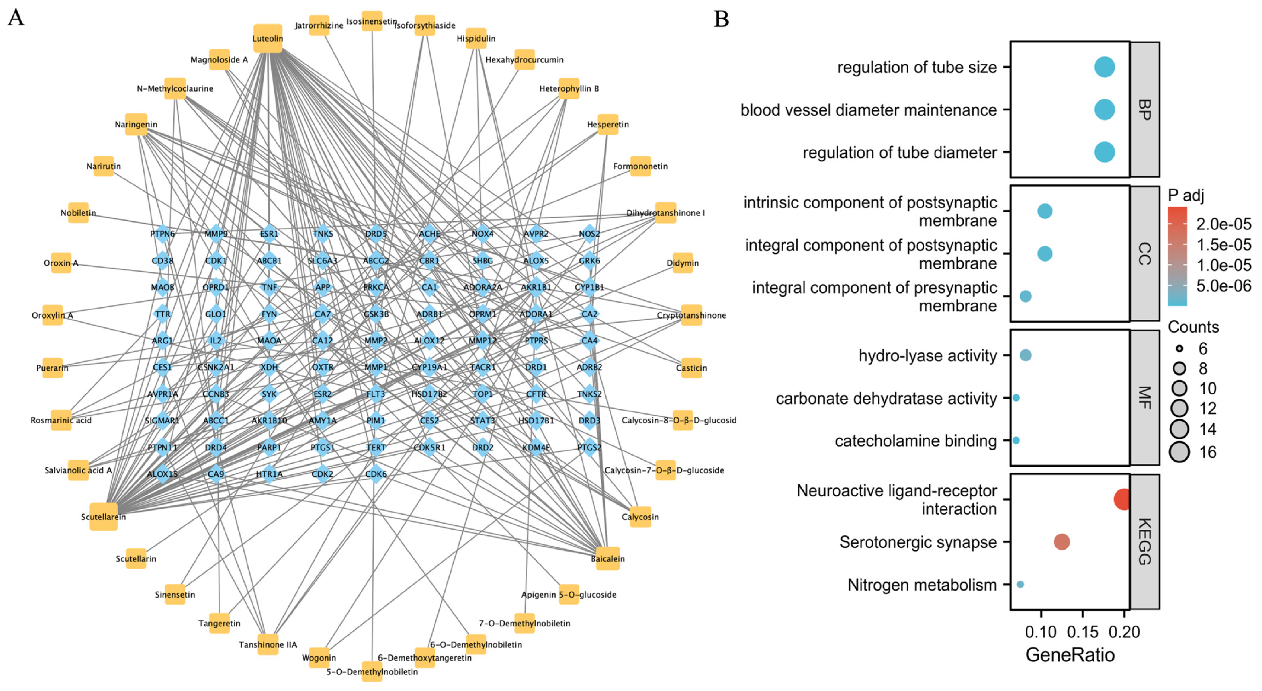 Pharmaceuticals 18 00435 g001