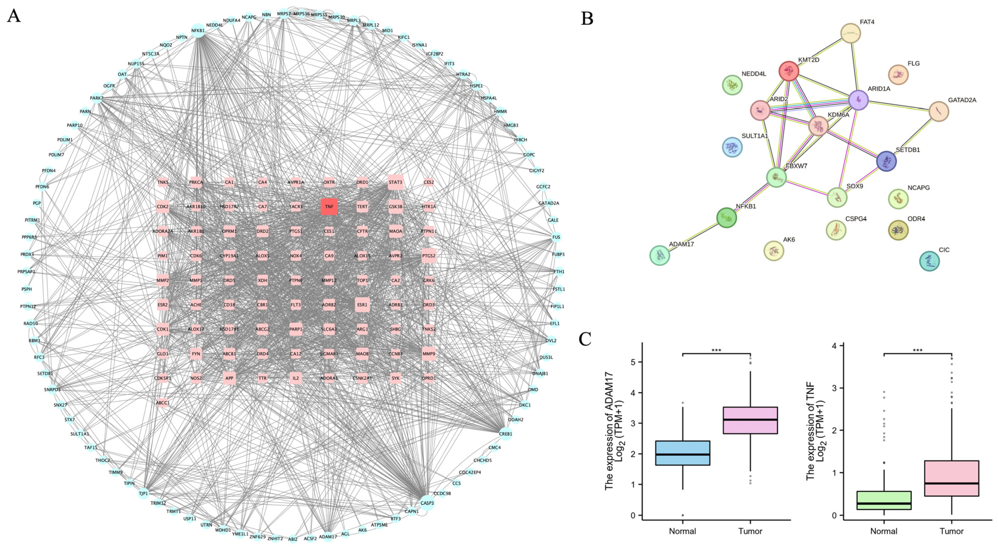 Pharmaceuticals 18 00435 g005