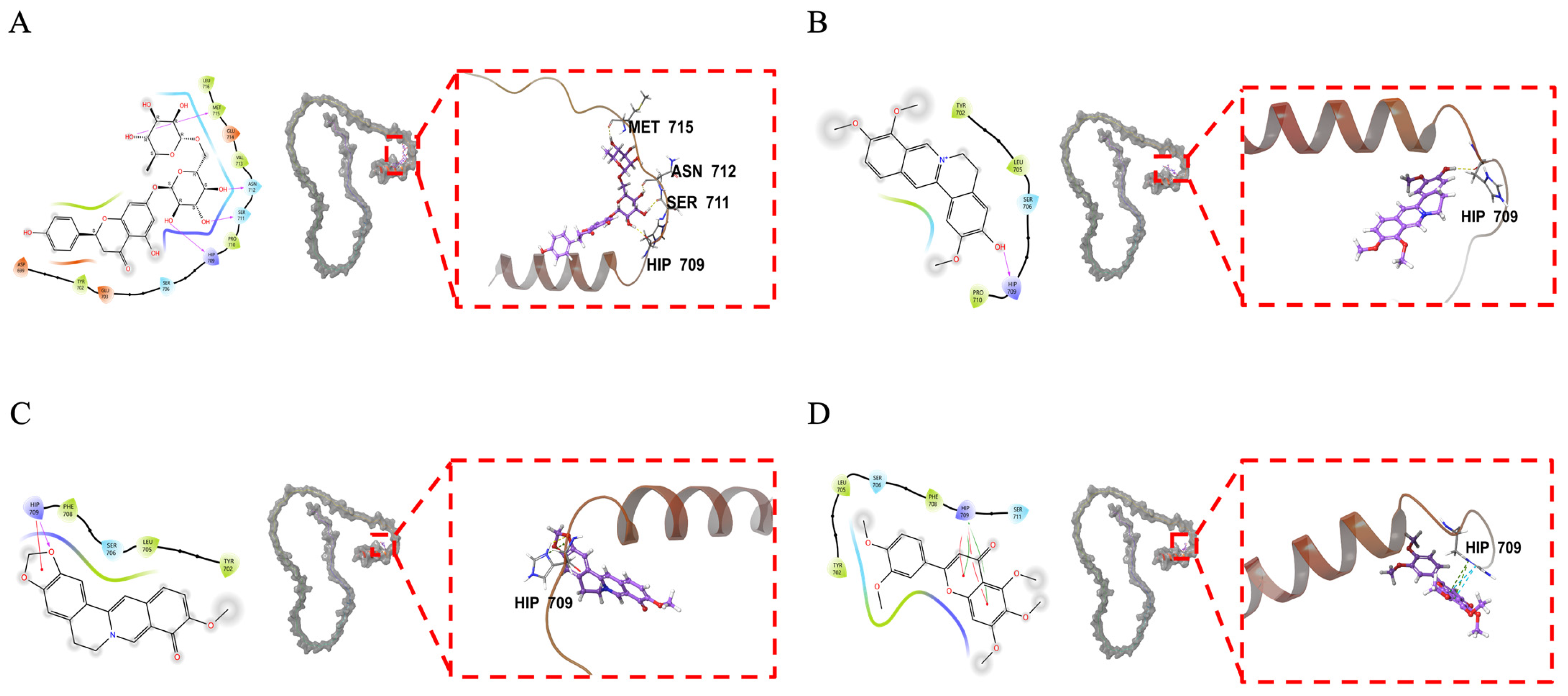 Pharmaceuticals 18 00435 g007