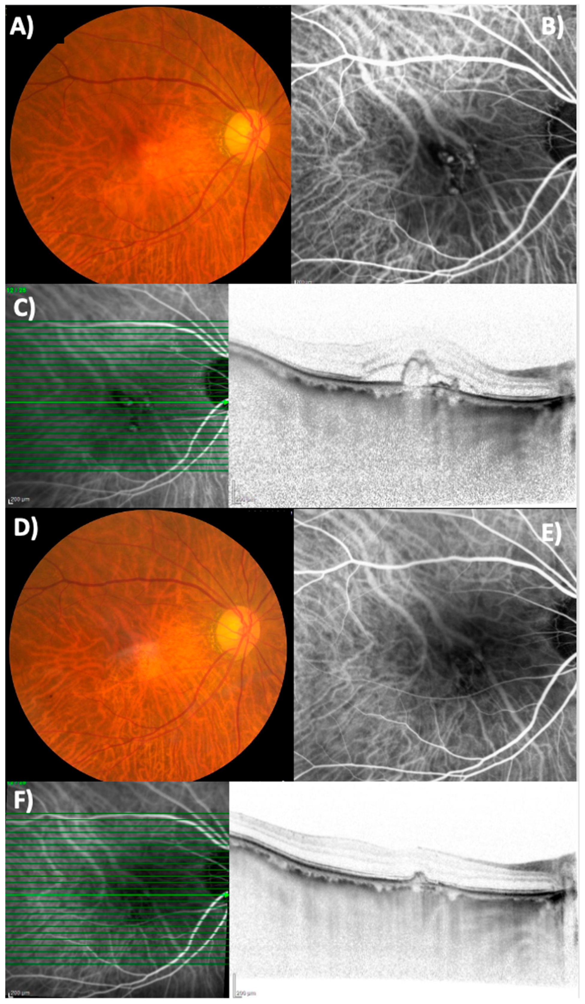 Pharmaceuticals 18 00438 g005