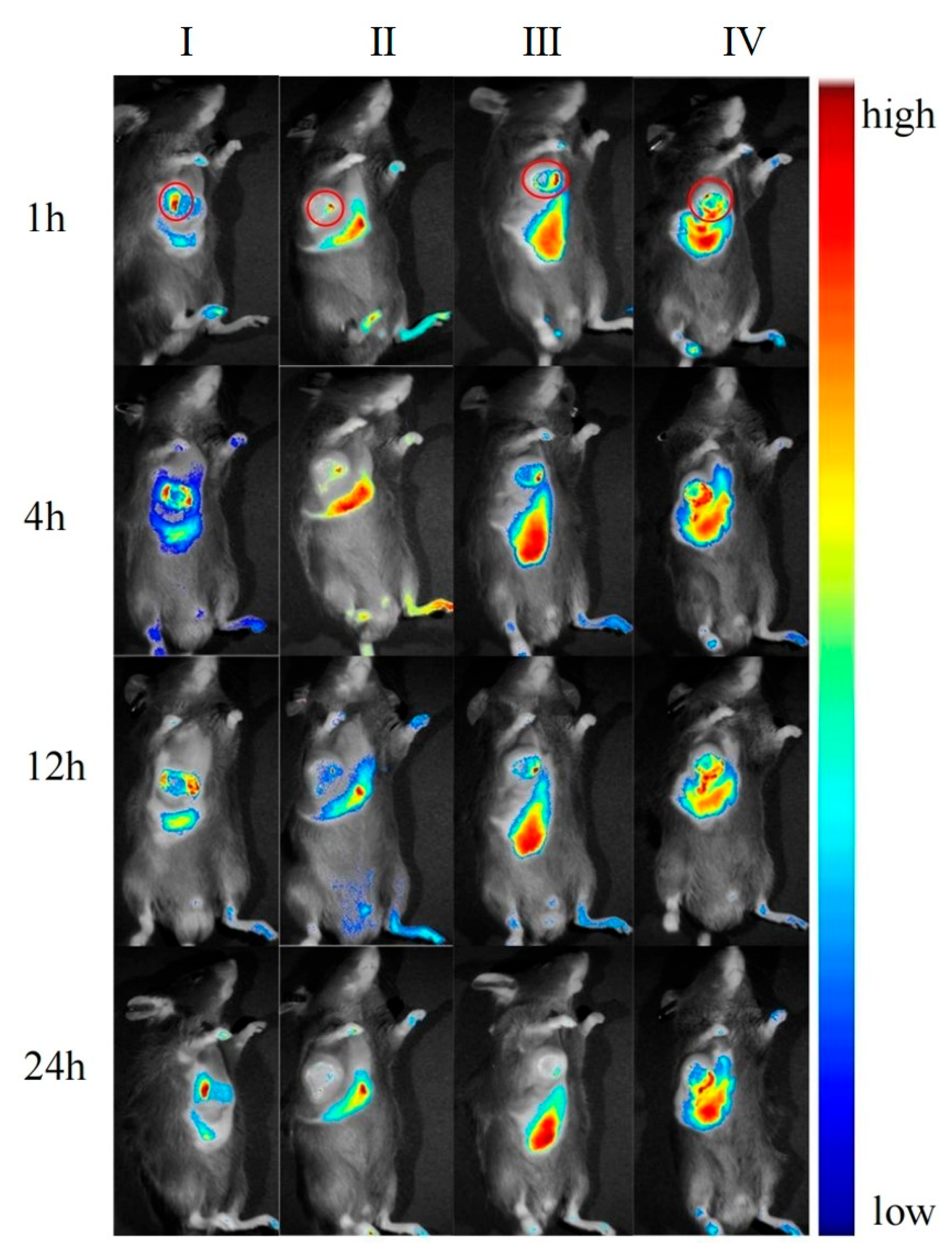 Pharmaceuticals 18 00448 g017
