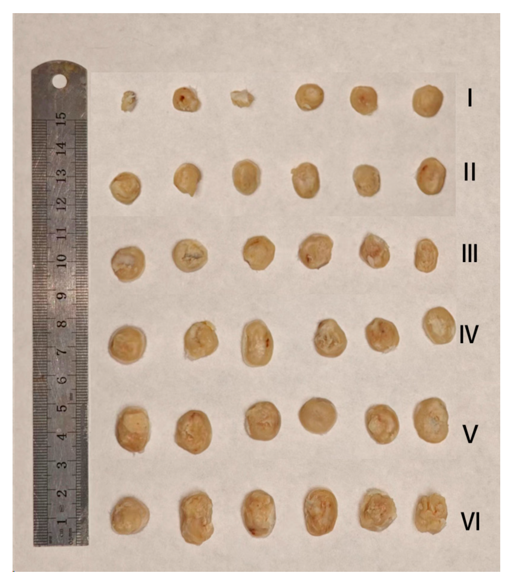 Pharmaceuticals 18 00448 g021