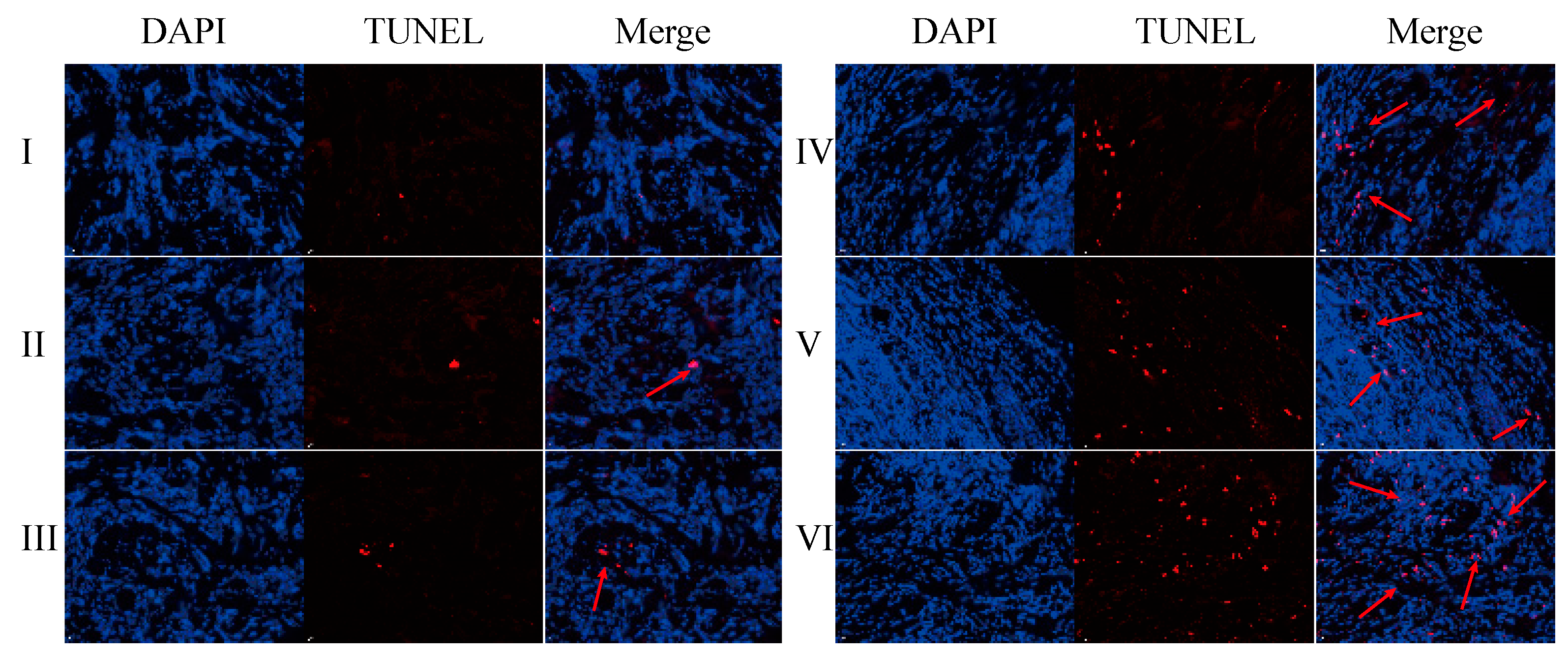 Pharmaceuticals 18 00448 g022