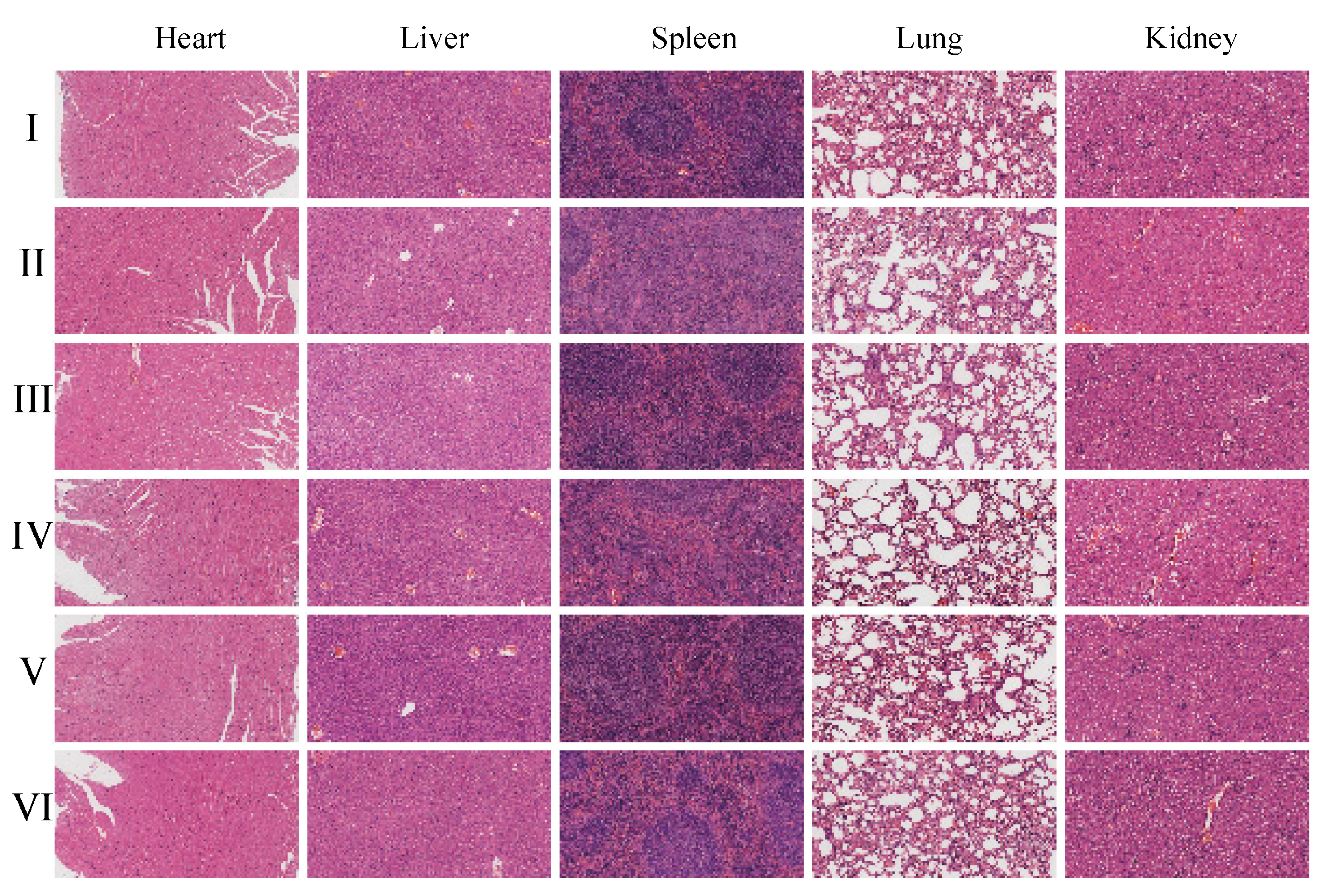 Pharmaceuticals 18 00448 g024