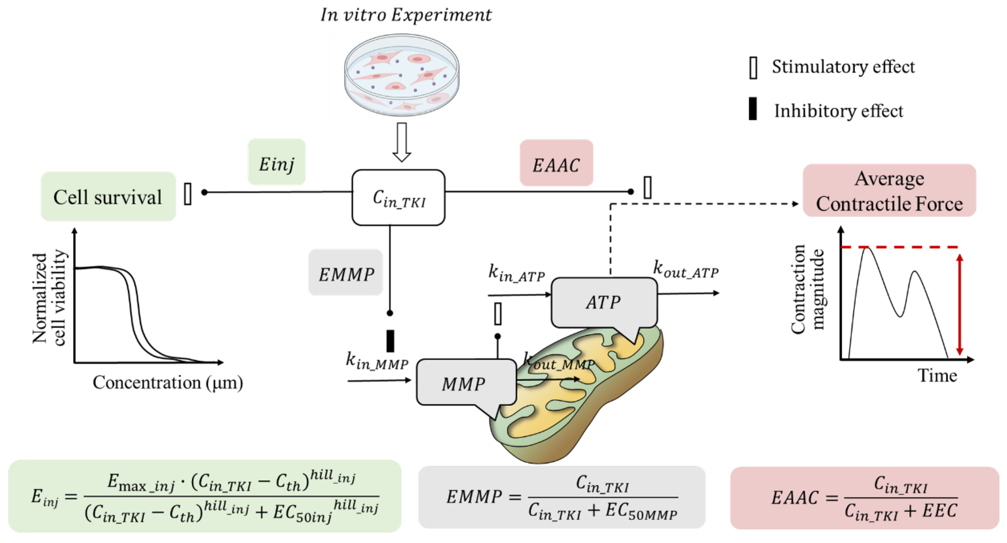 Pharmaceuticals 18 00450 g009