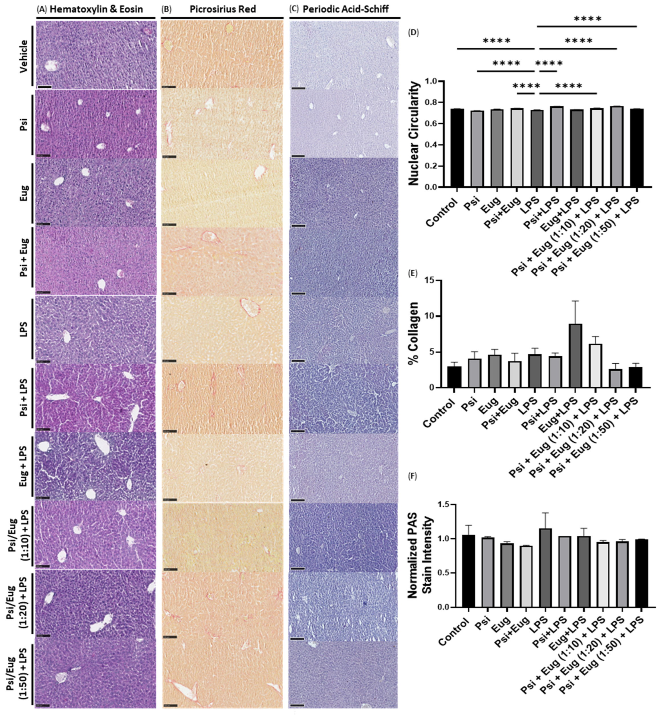 Pharmaceuticals 18 00451 g006