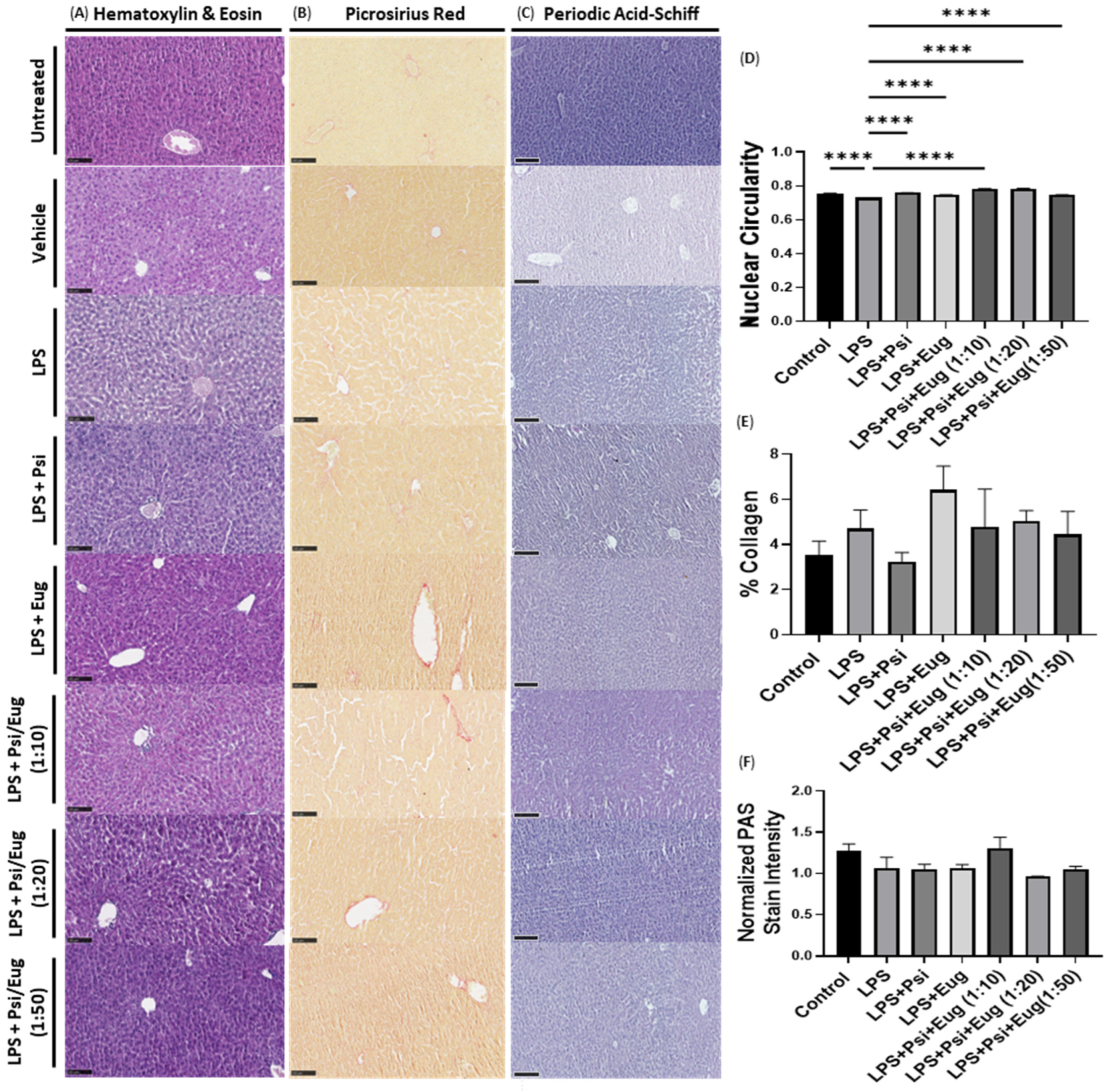 Pharmaceuticals 18 00451 g007