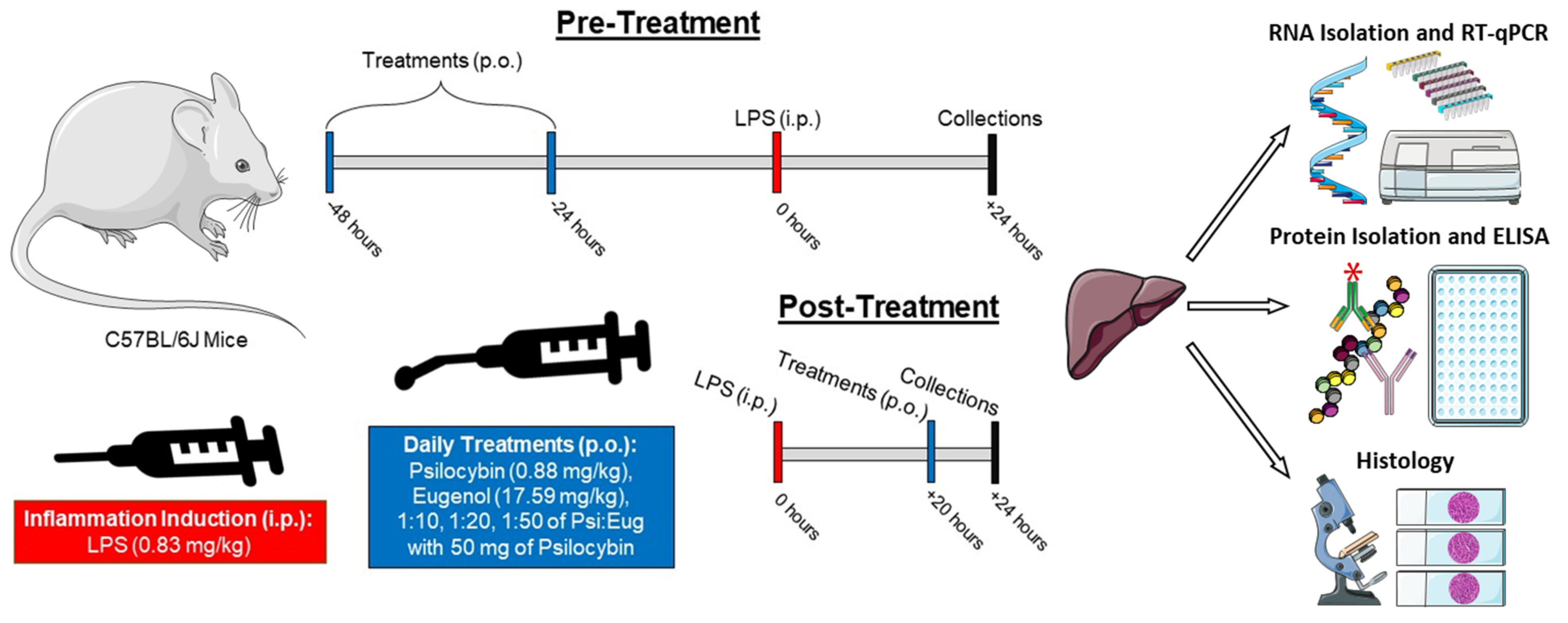 Pharmaceuticals 18 00451 g008