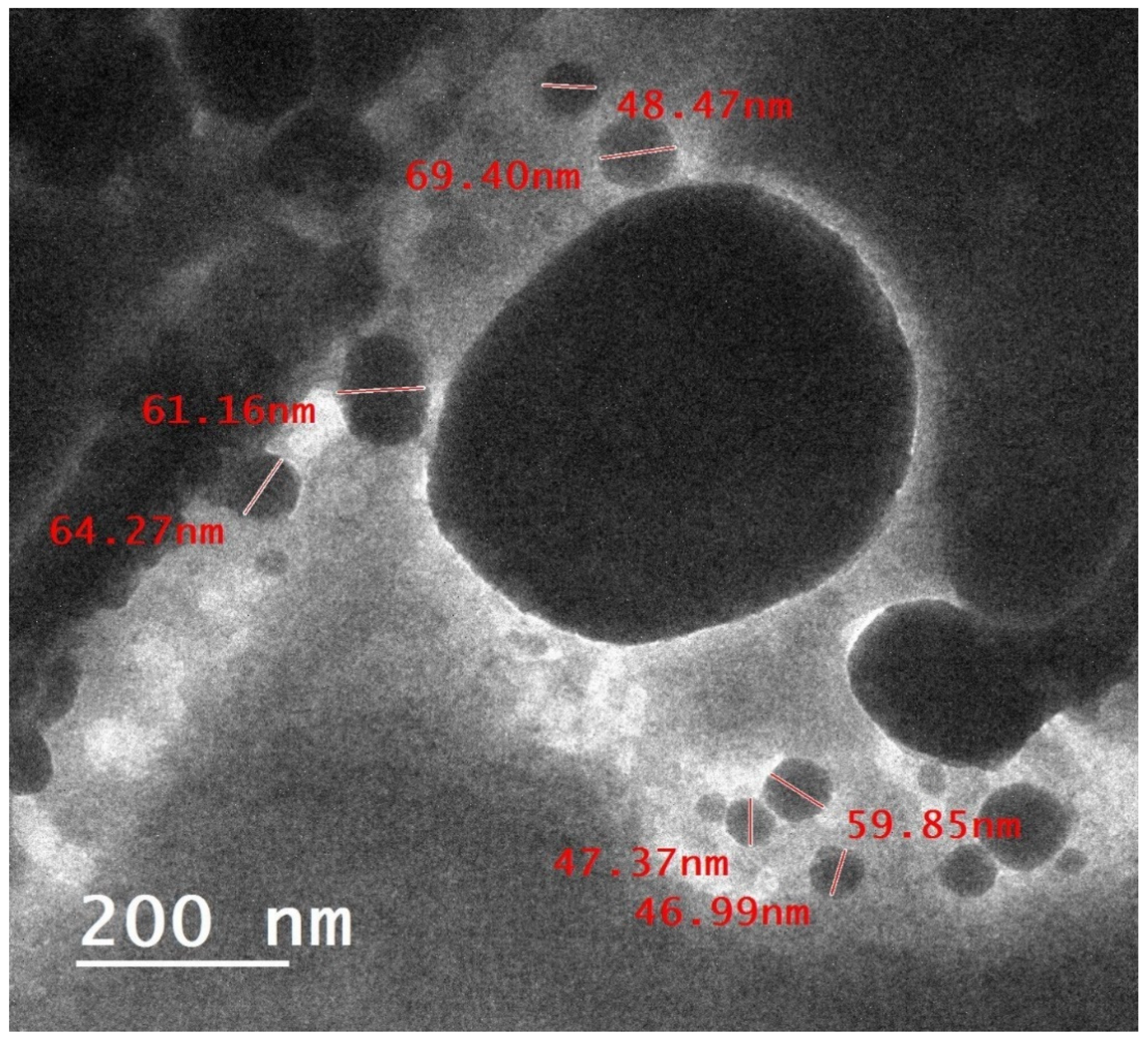 Pharmaceuticals 18 00452 g001