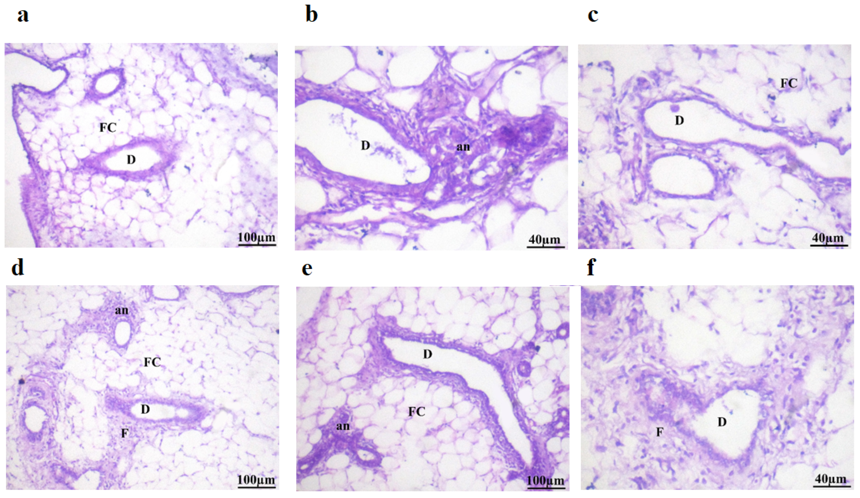 Pharmaceuticals 18 00452 g006