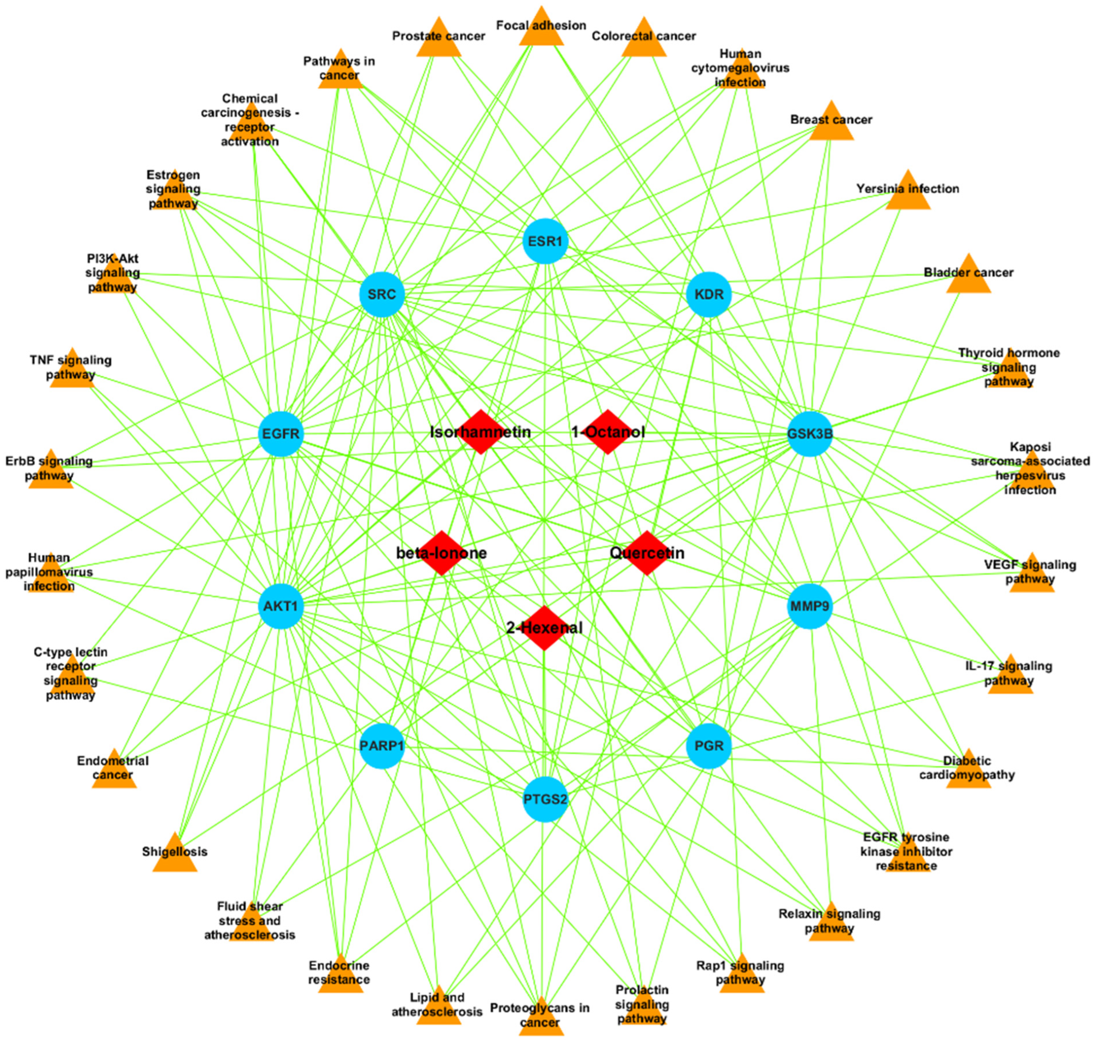 Pharmaceuticals 18 00453 g002
