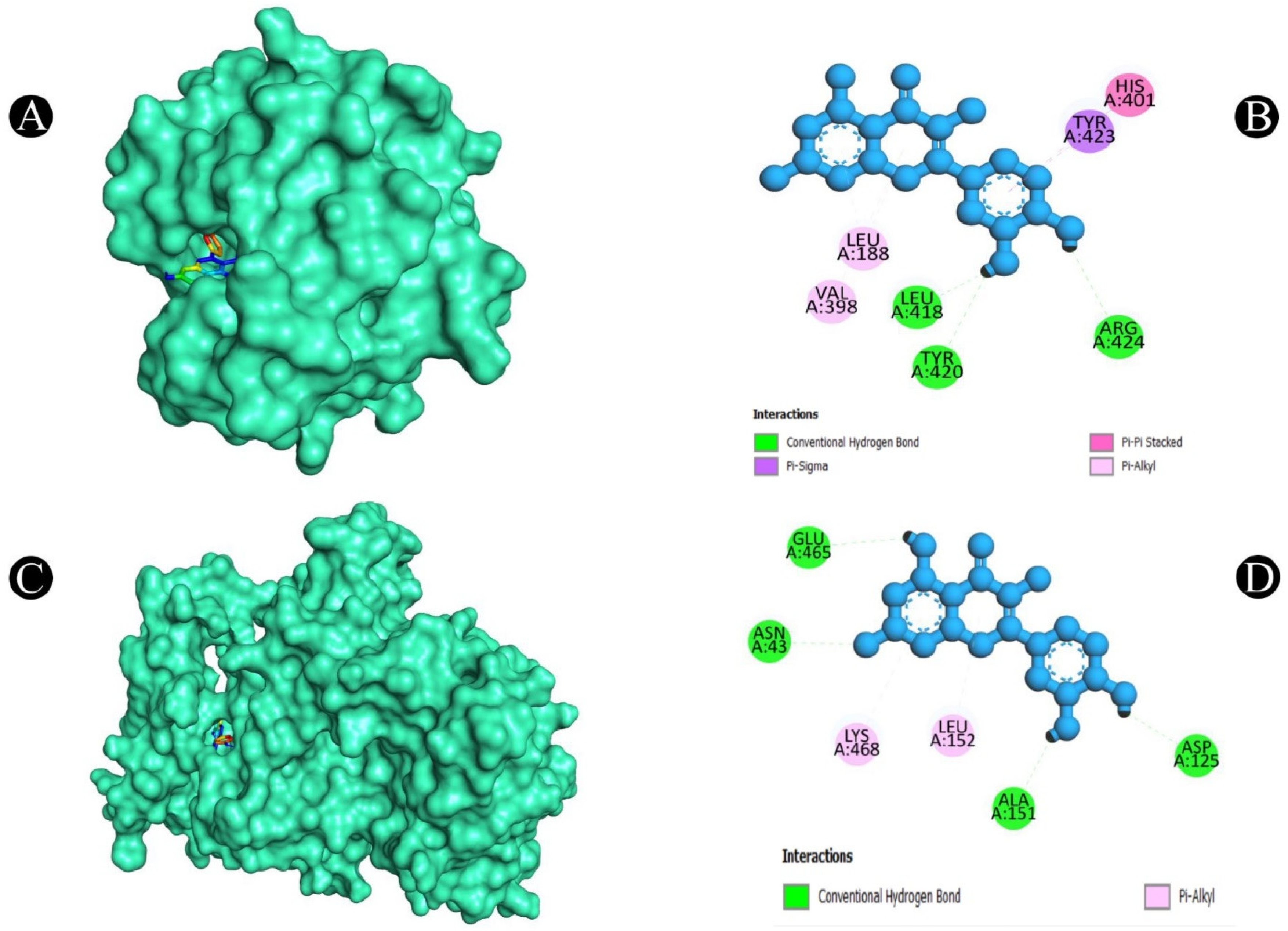 Pharmaceuticals 18 00453 g008