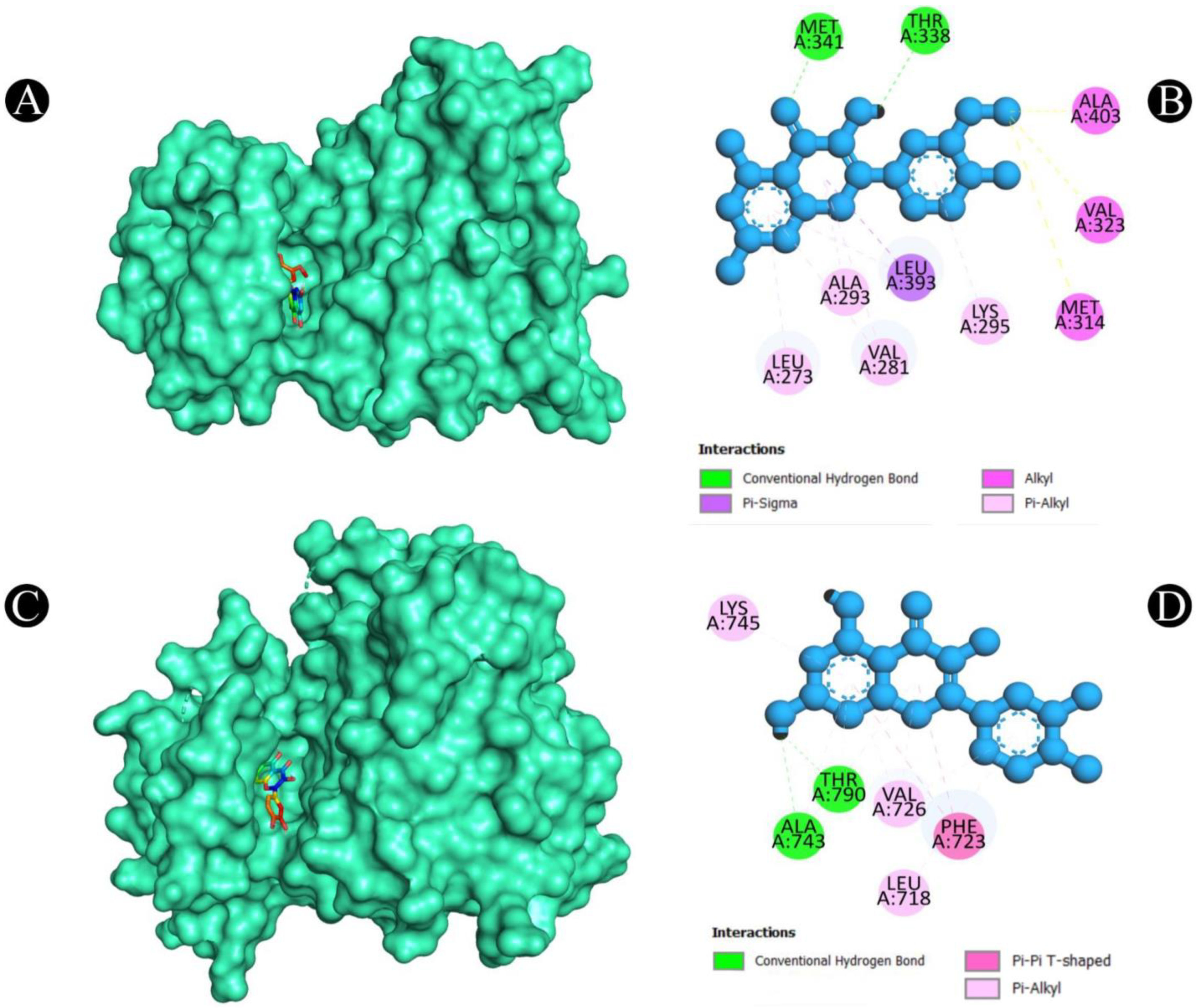 Pharmaceuticals 18 00453 g010