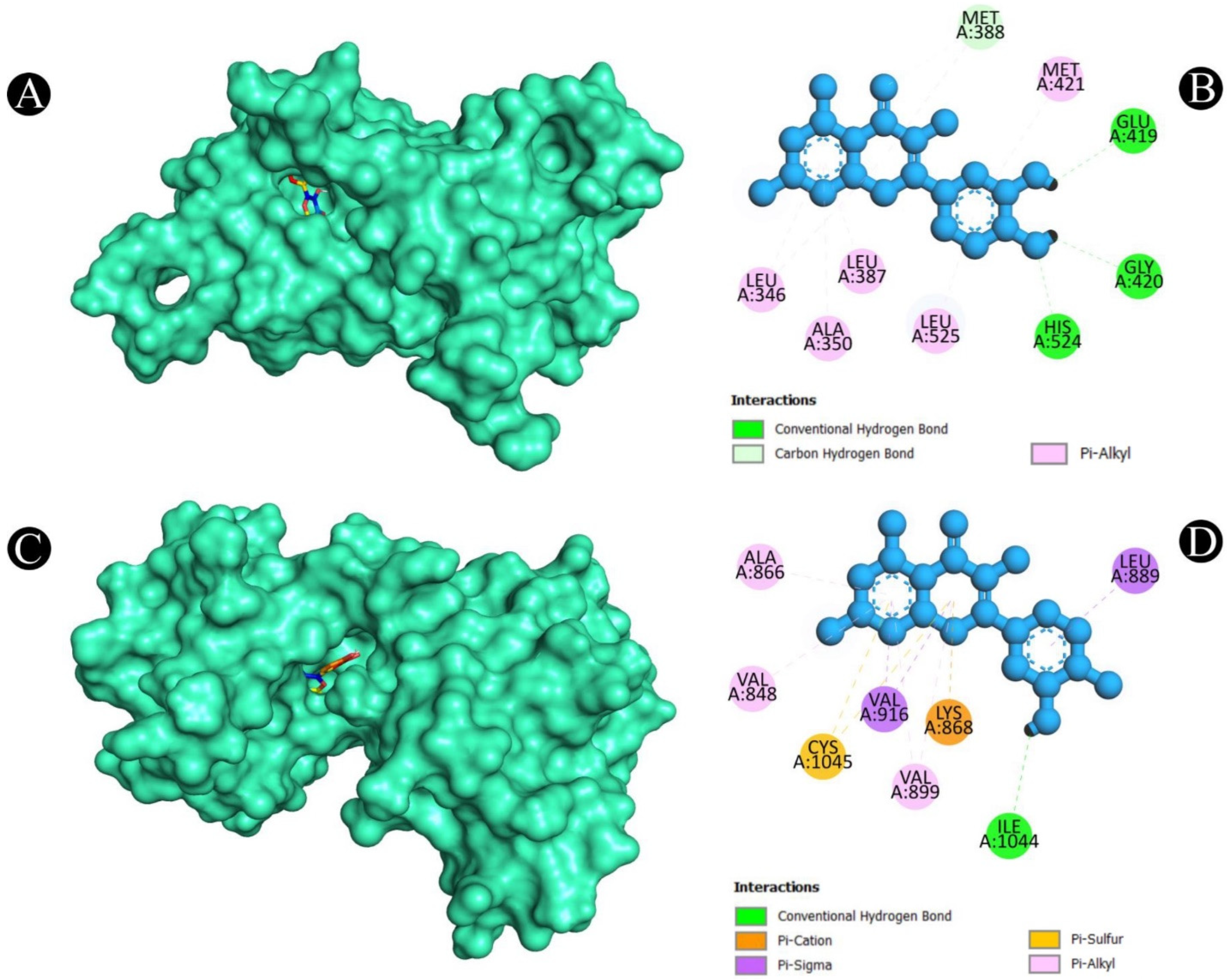Pharmaceuticals 18 00453 g011