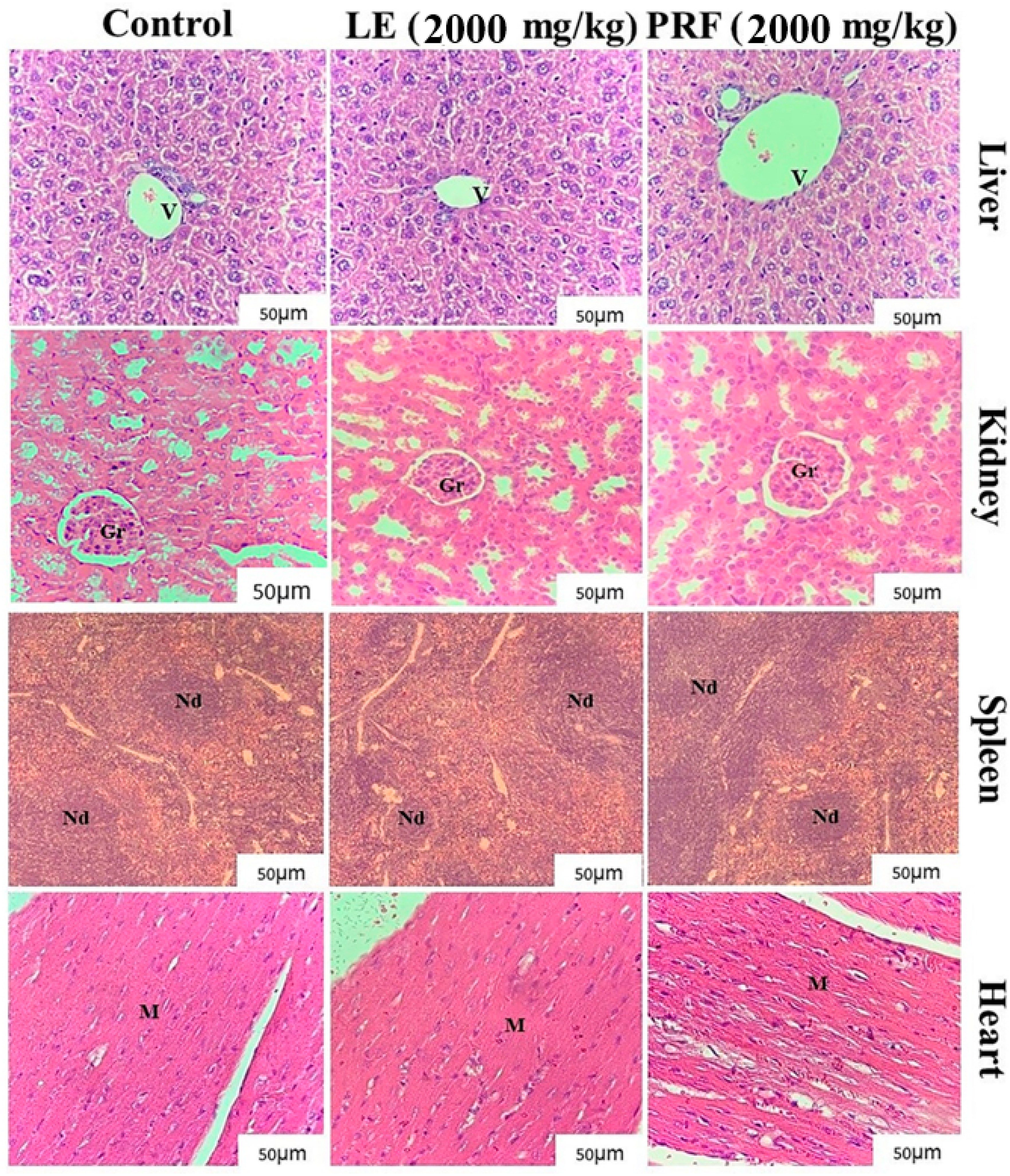 Pharmaceuticals 18 00454 g002