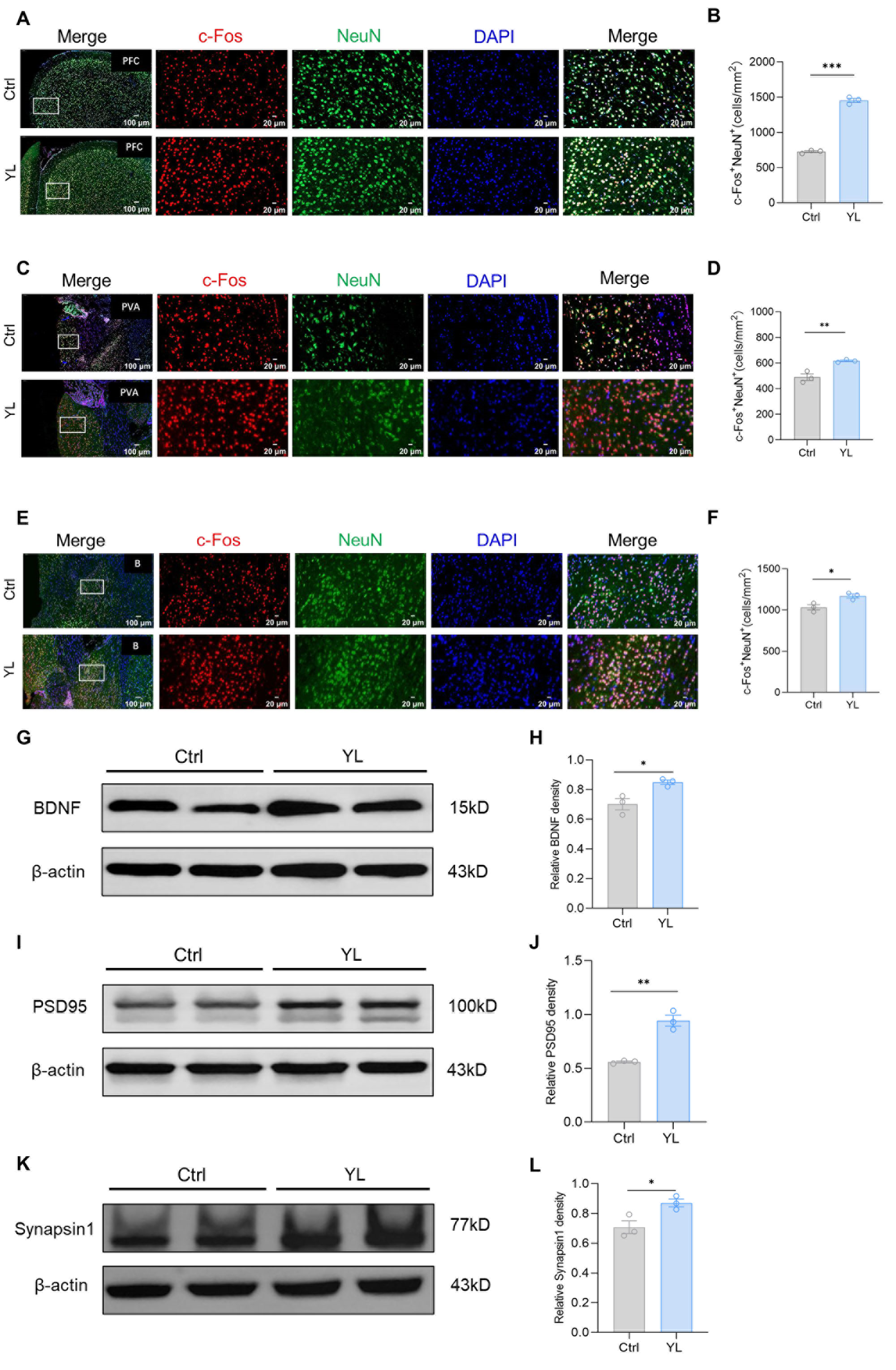 Pharmaceuticals 18 00455 g002