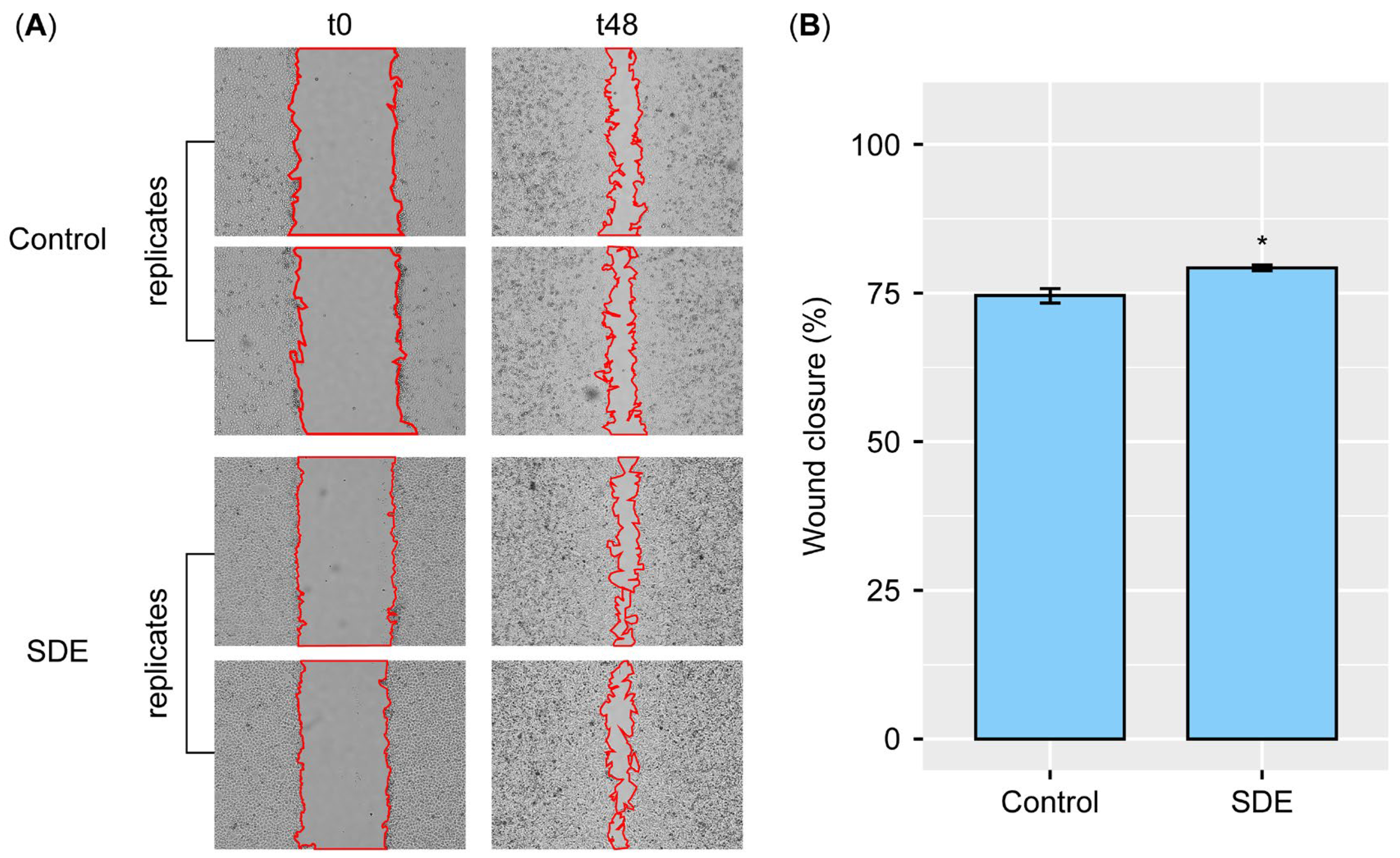 Pharmaceuticals 18 00458 g002