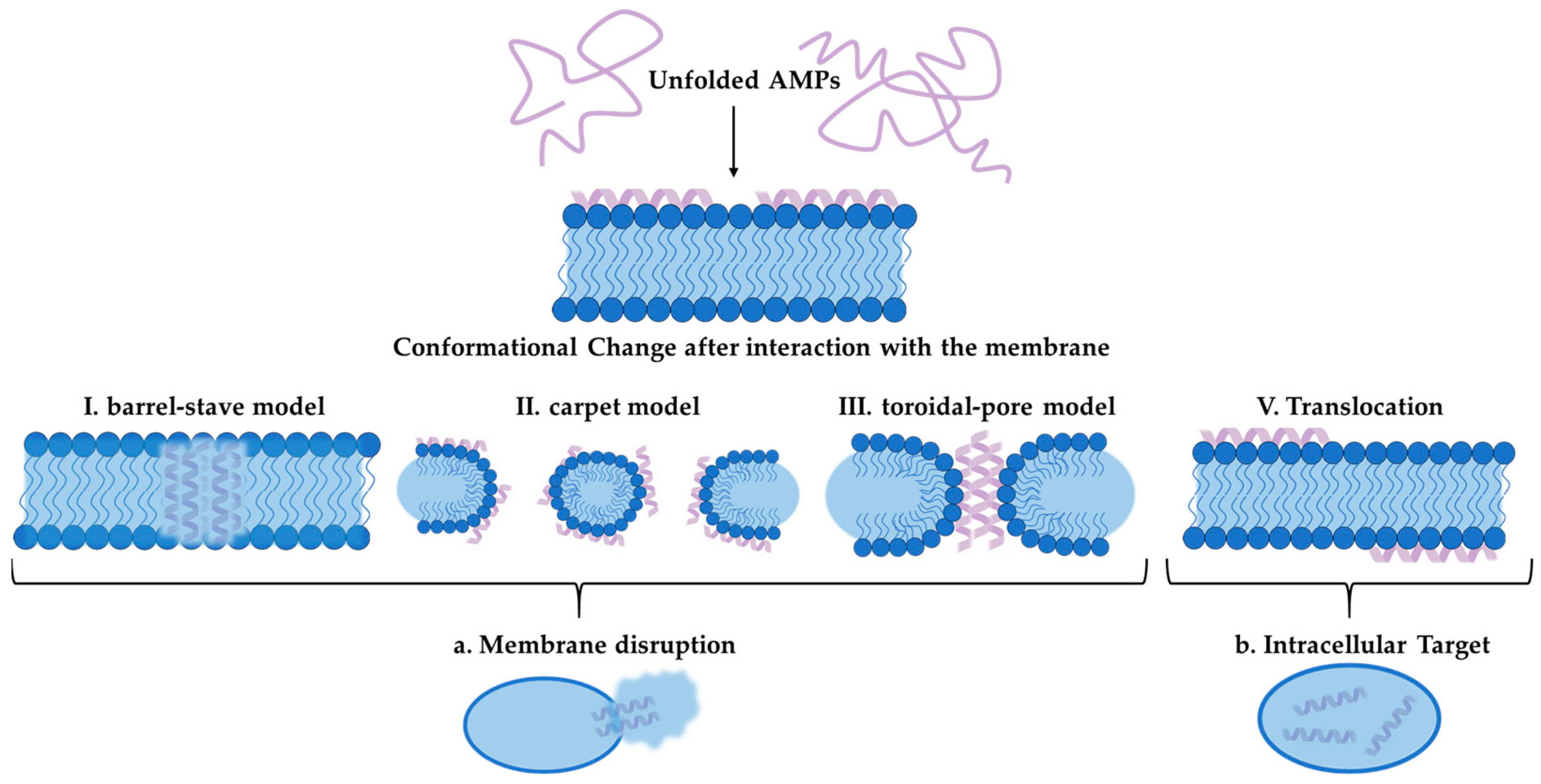 Pharmaceuticals 18 00460 g003