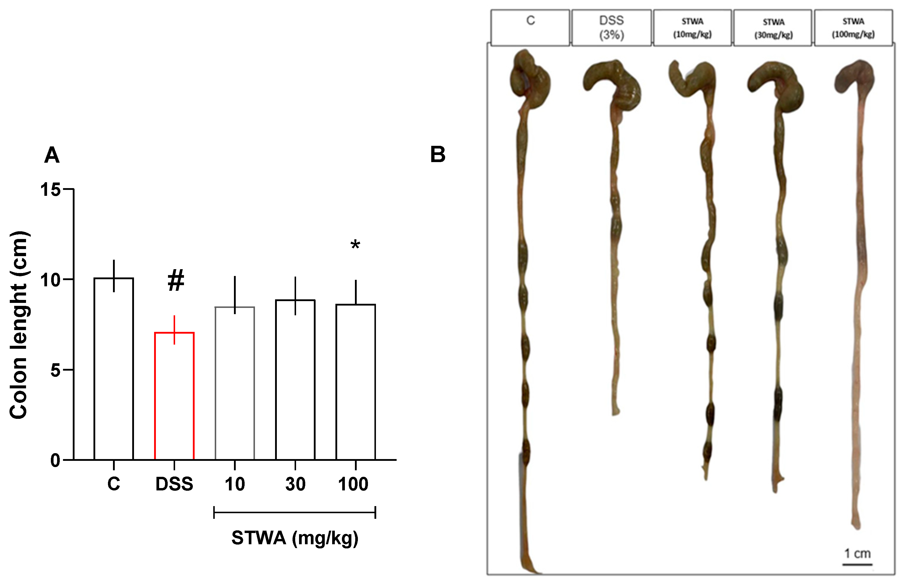 Pharmaceuticals 18 00461 g003