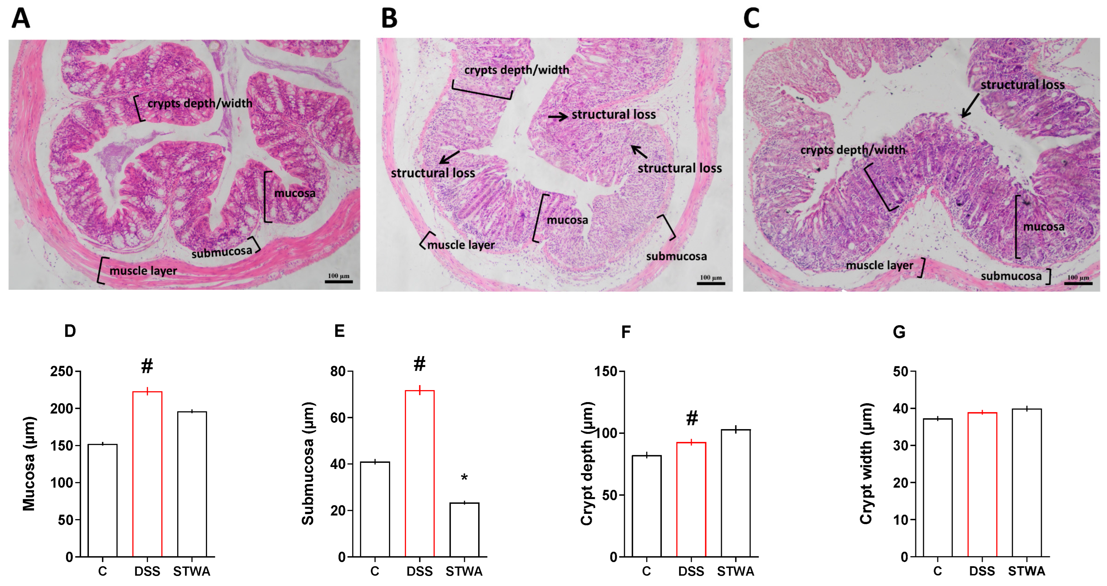 Pharmaceuticals 18 00461 g006