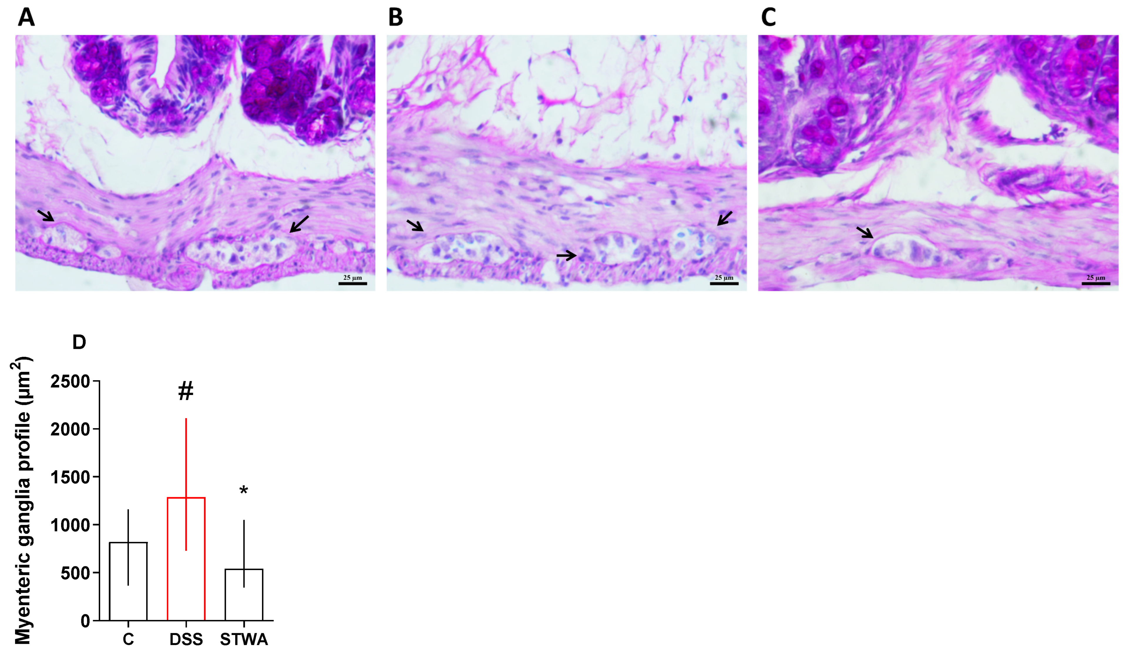 Pharmaceuticals 18 00461 g007