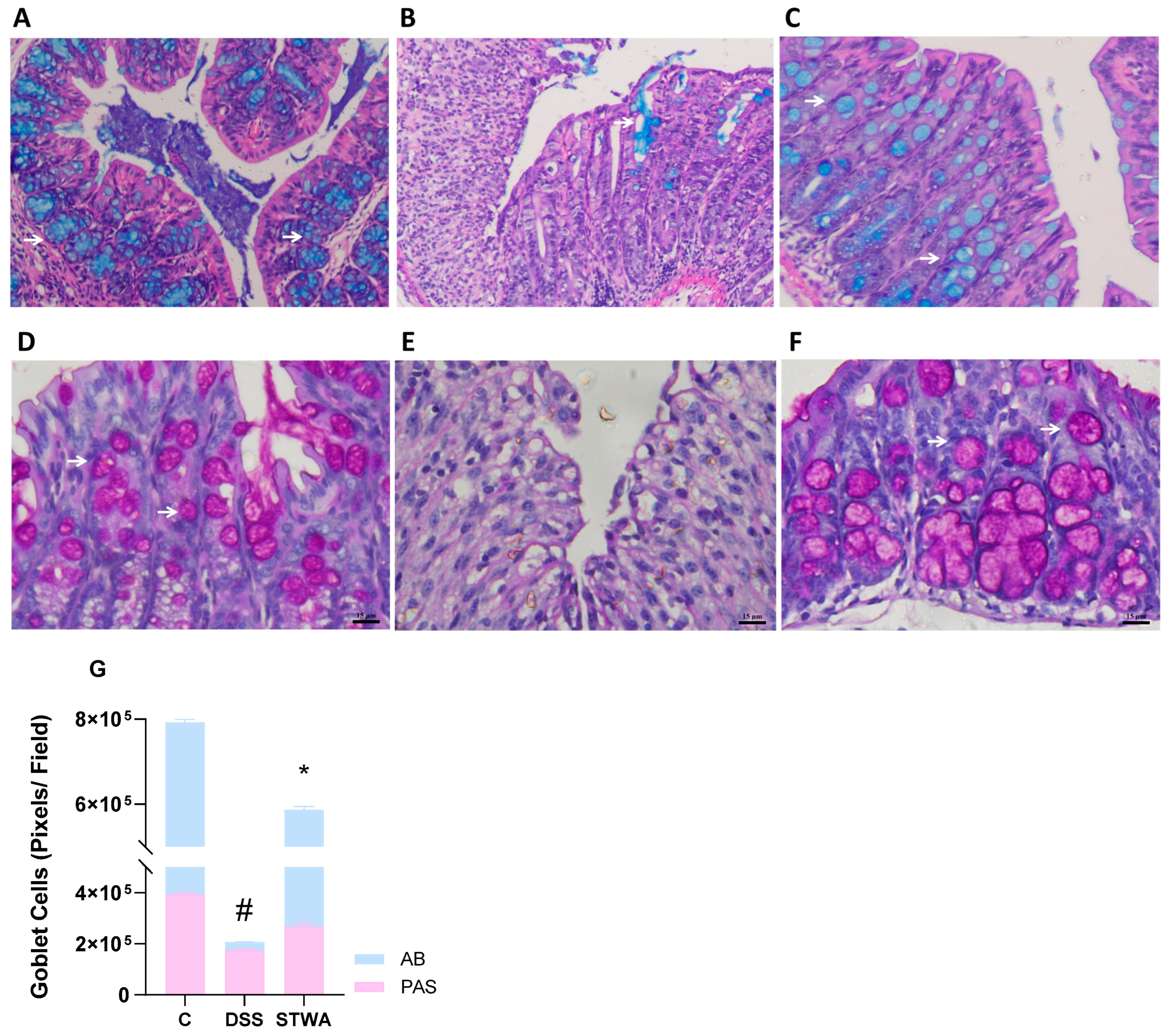 Pharmaceuticals 18 00461 g009
