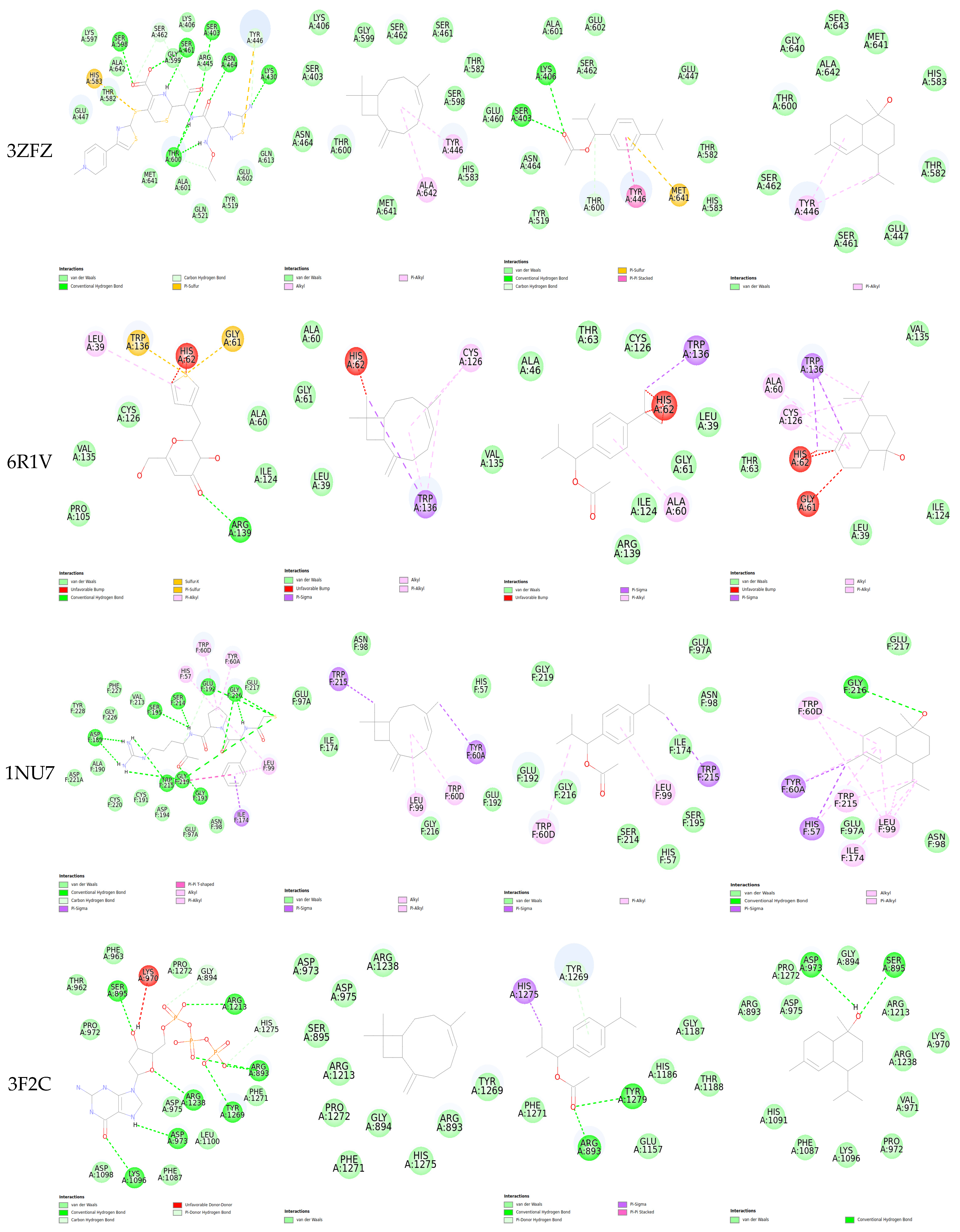 Pharmaceuticals 18 00462 g006b
