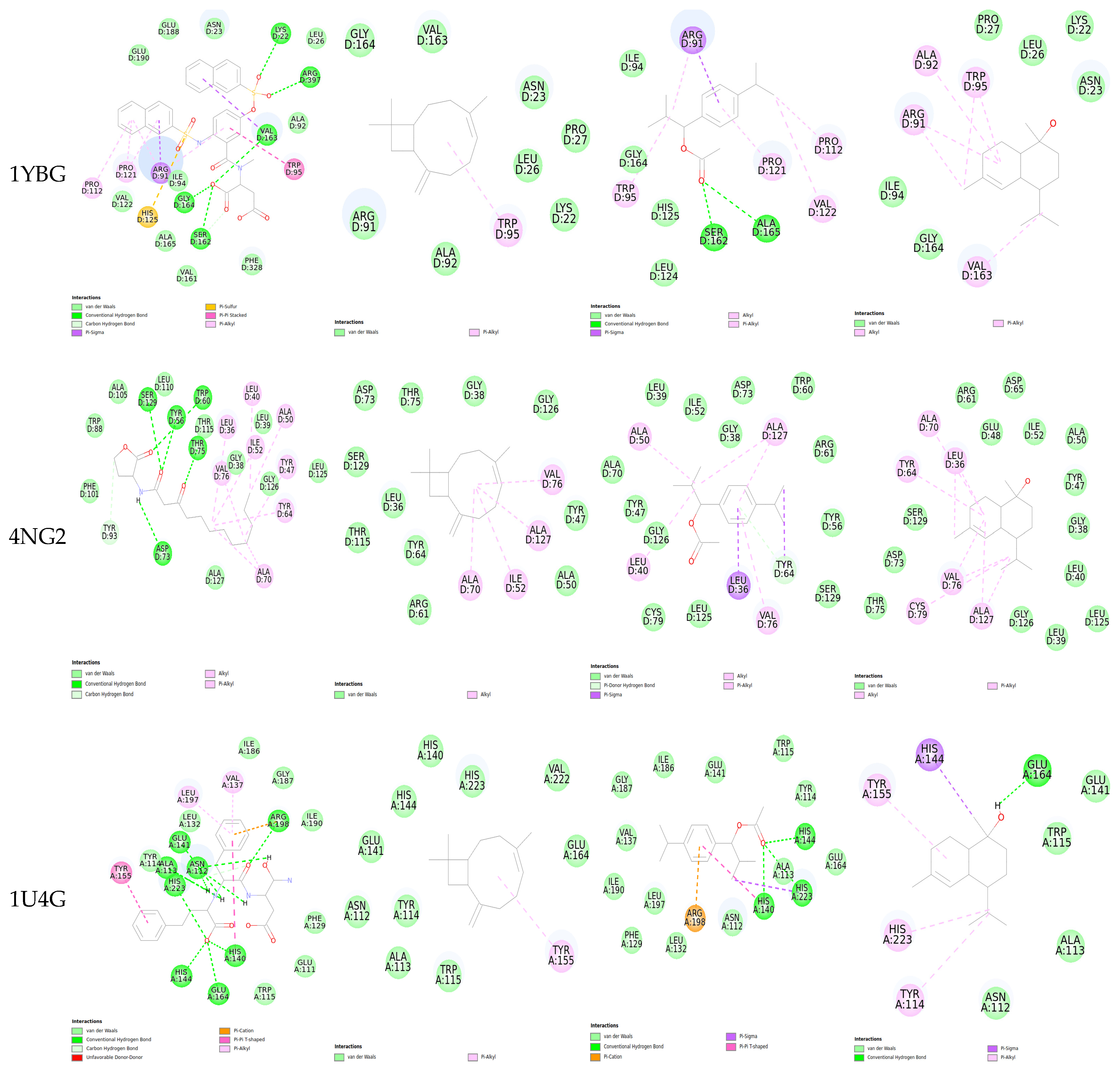 Pharmaceuticals 18 00462 g006c