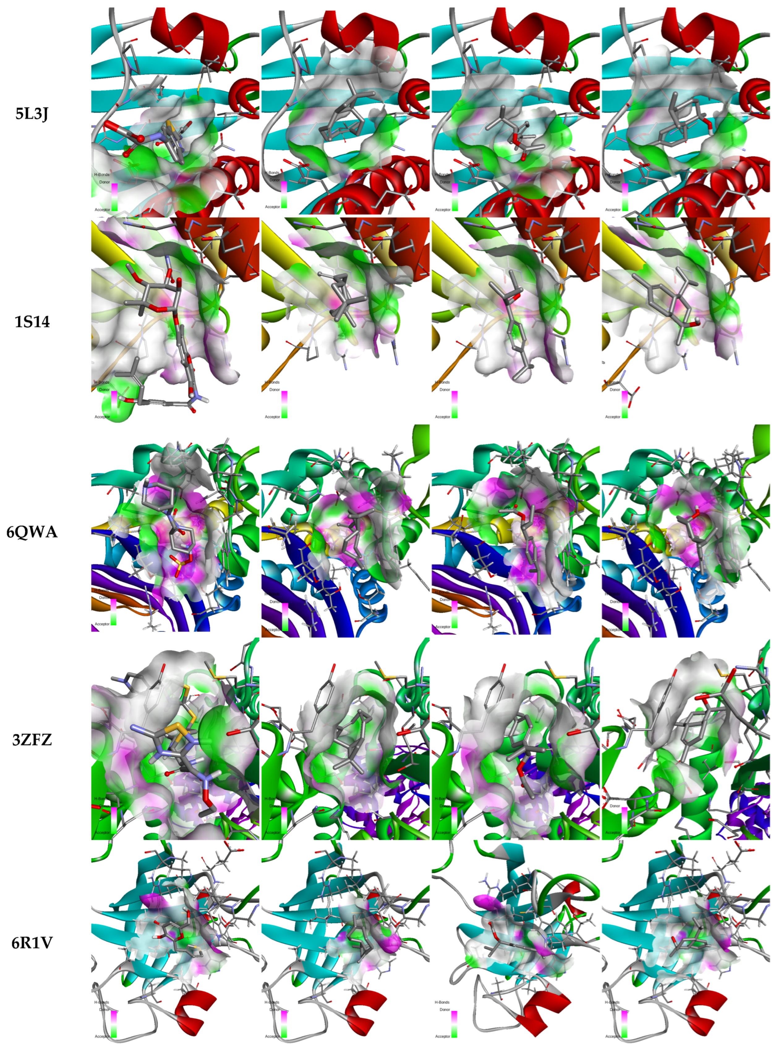 Pharmaceuticals 18 00462 g007b