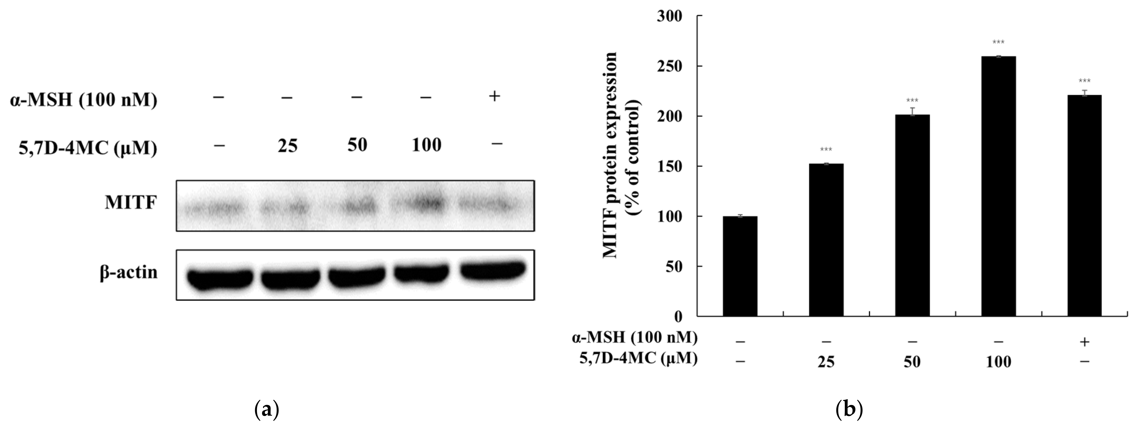 Pharmaceuticals 18 00463 g006