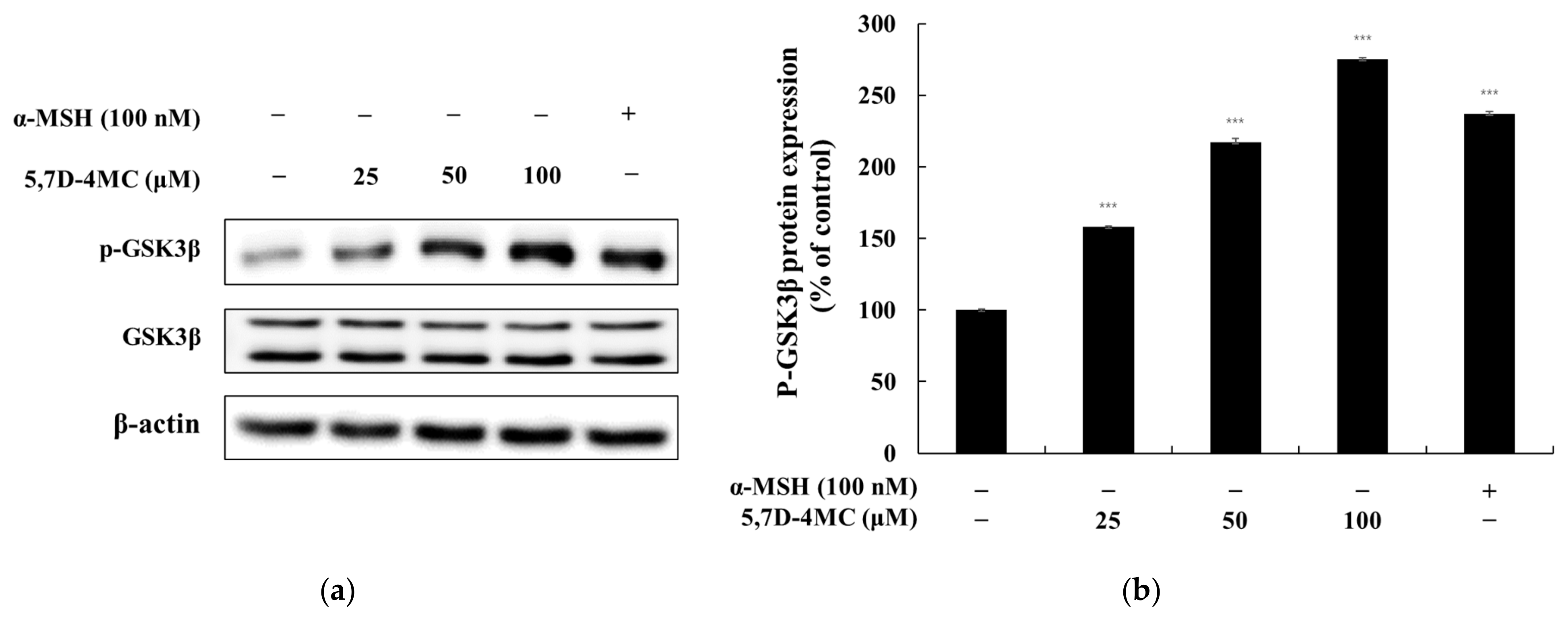 Pharmaceuticals 18 00463 g008