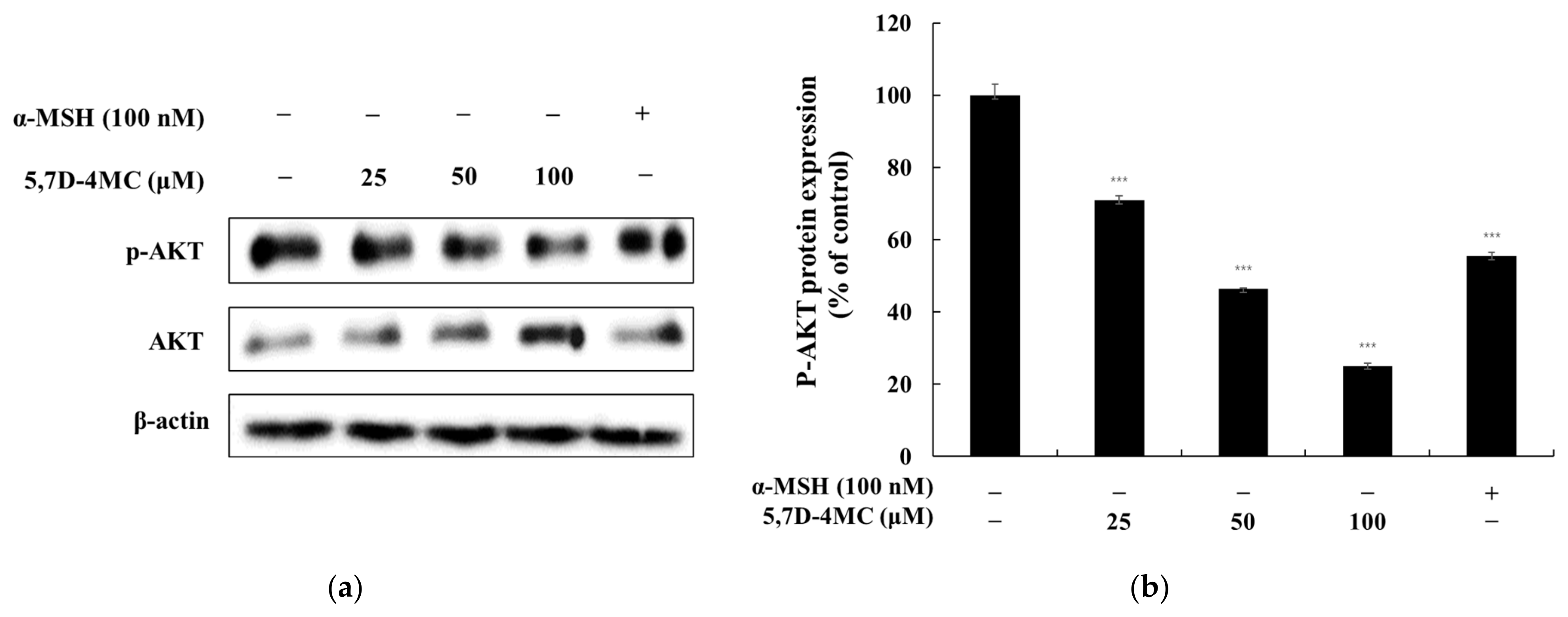 Pharmaceuticals 18 00463 g009