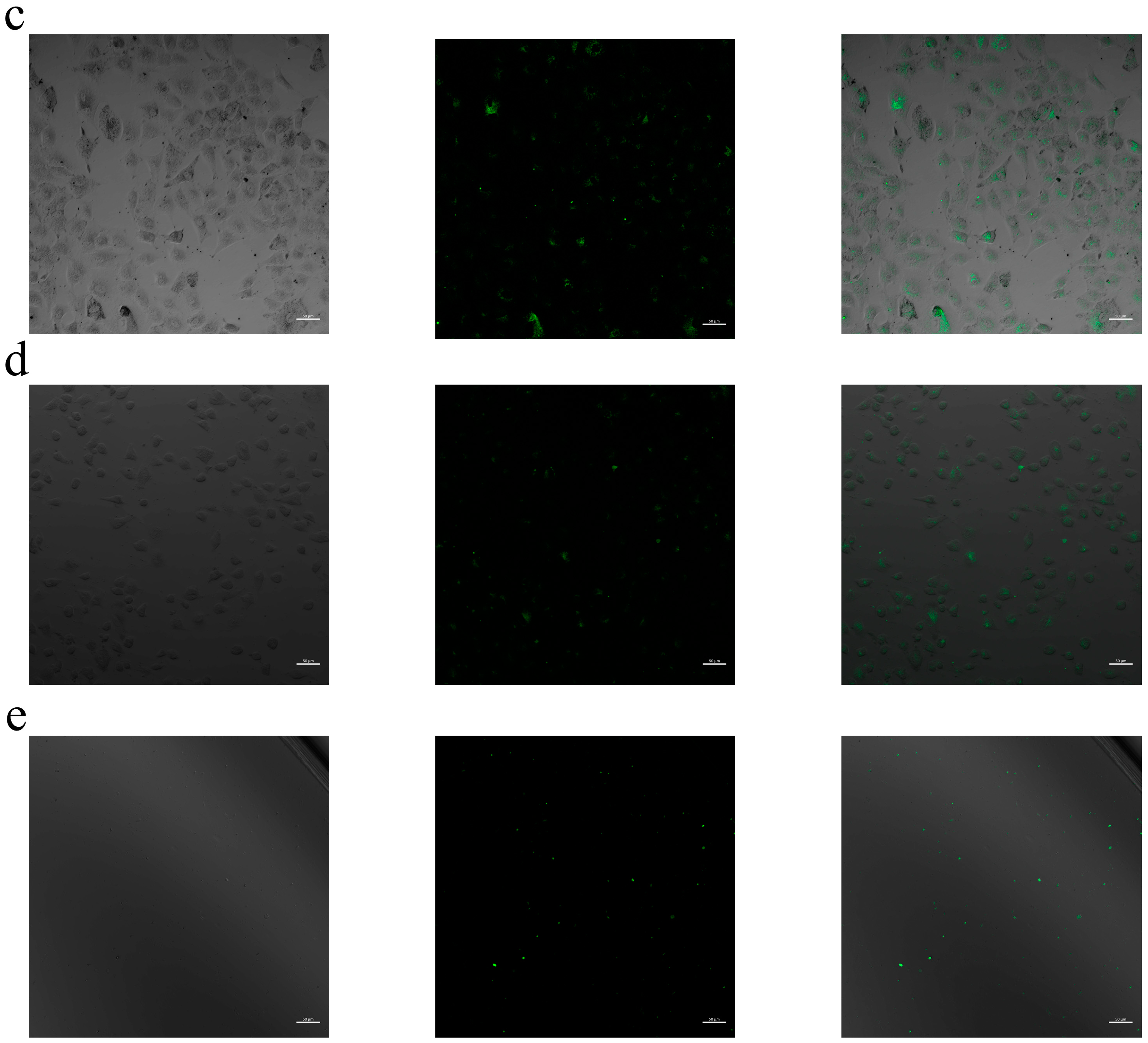 Pharmaceuticals 18 00470 g007b