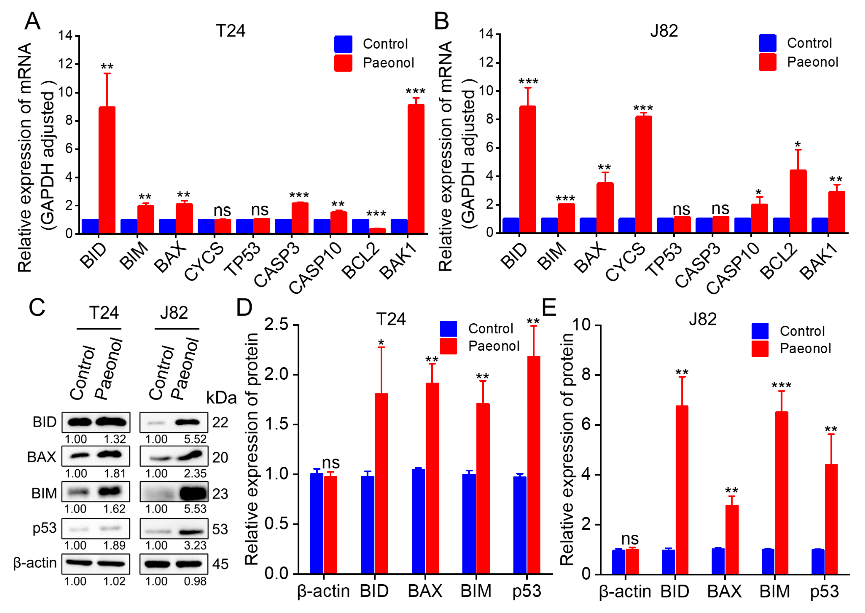Pharmaceuticals 18 00472 g005